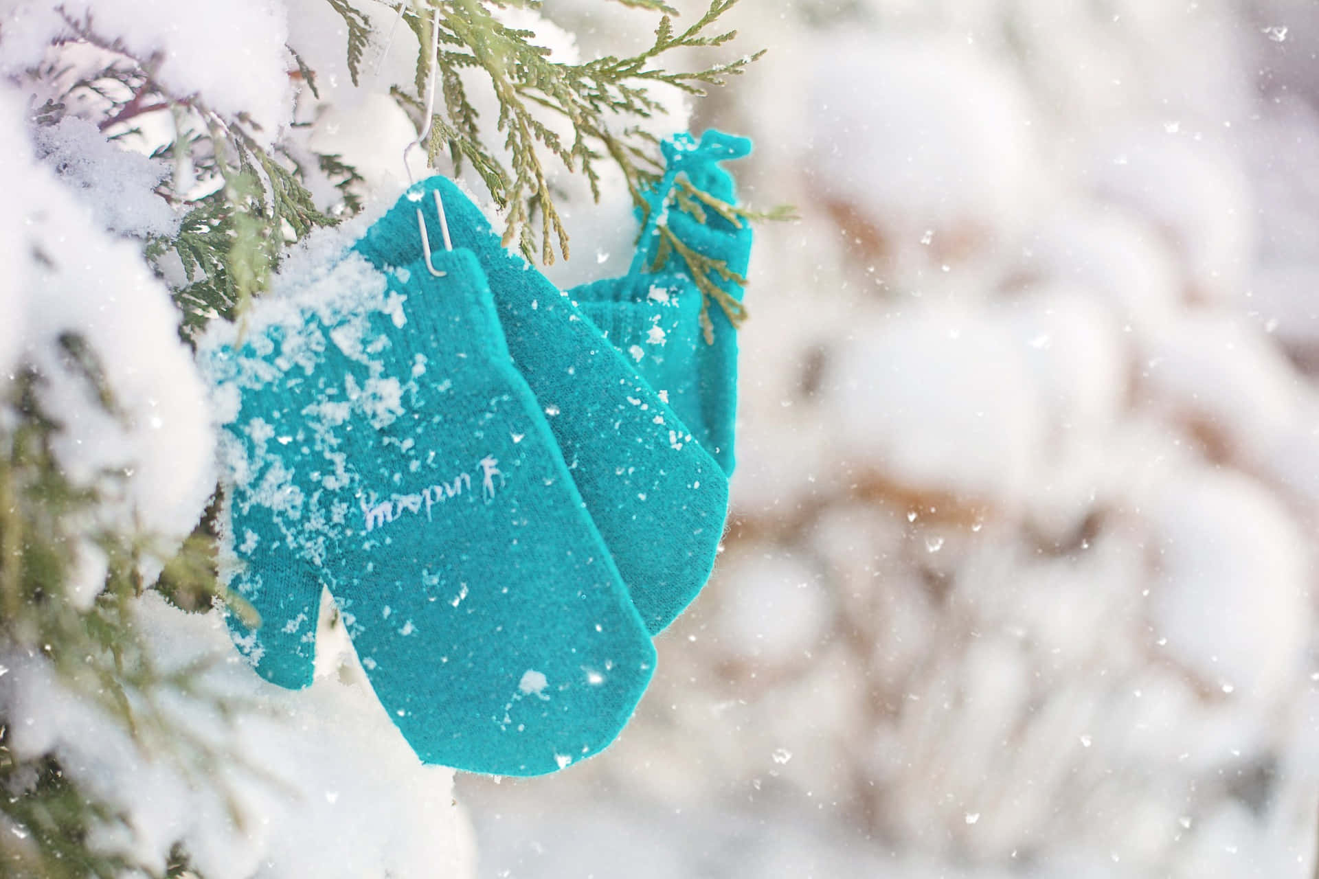 teal, knitted mittens, snow-dusted evergreen branch, Full HD Desktop Wallpaper