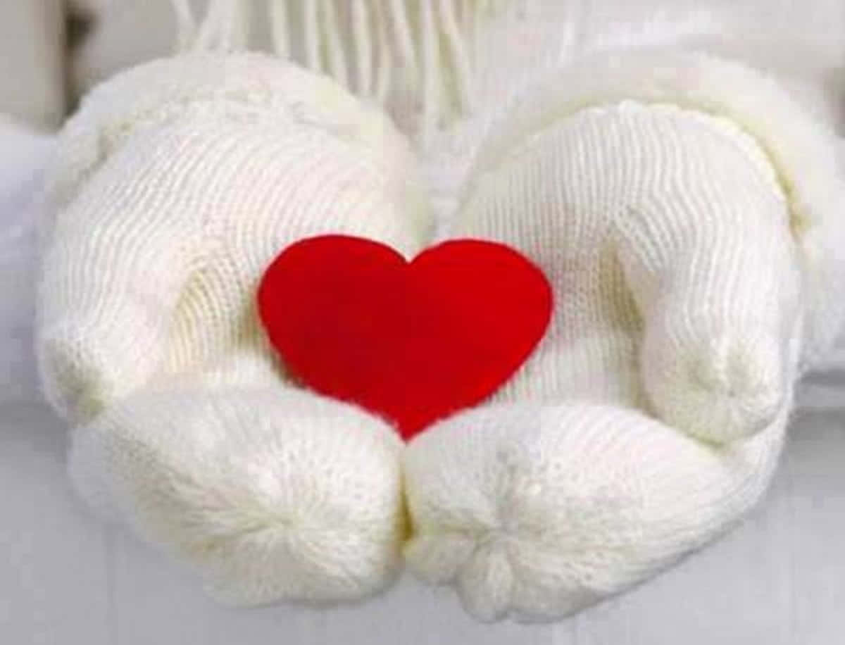 Mittens, kitten mittens, white knitted mittens, SD Desktop Wallpaper