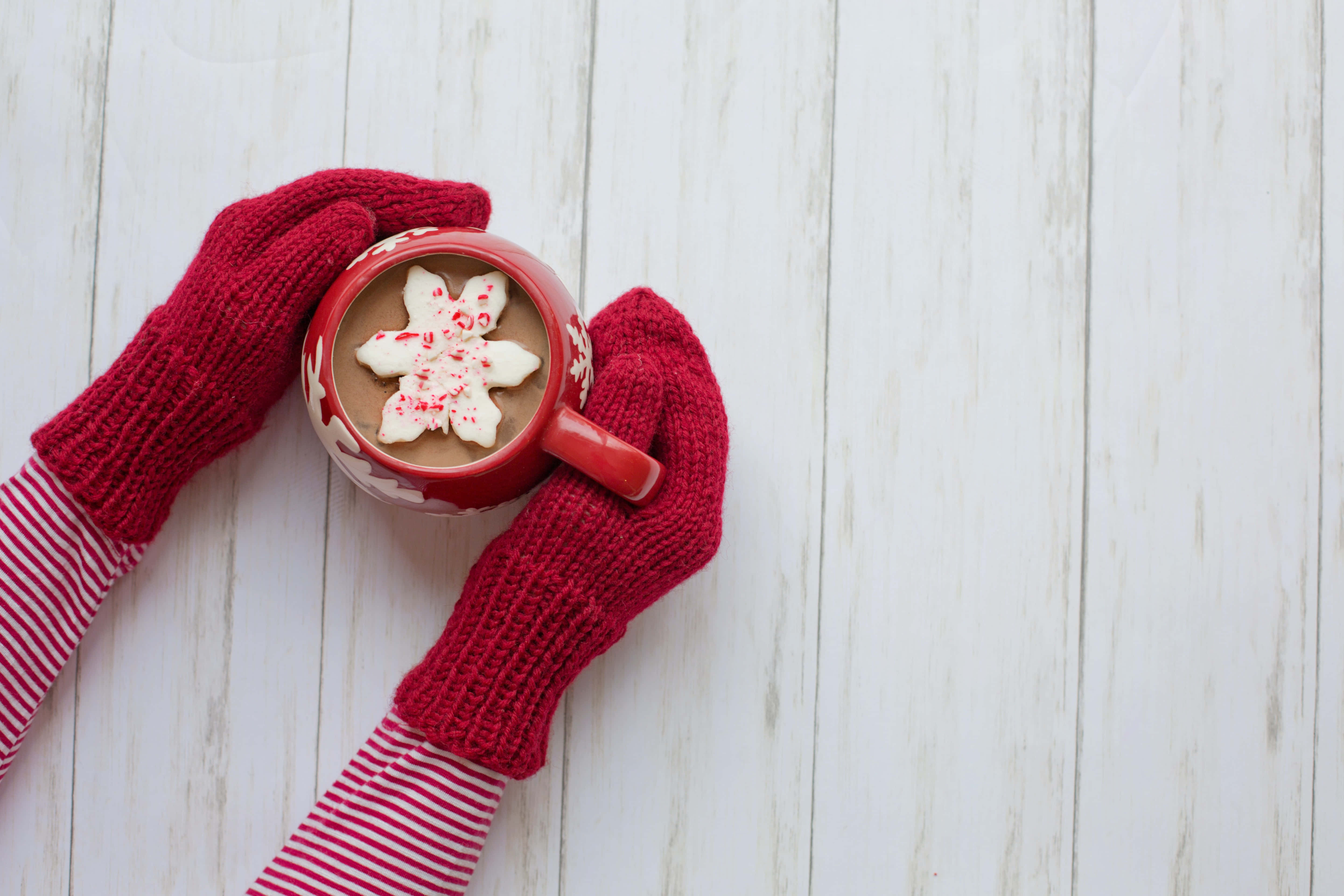 mittens, red mittens, gray and white cat, 5K Desktop Wallpaper