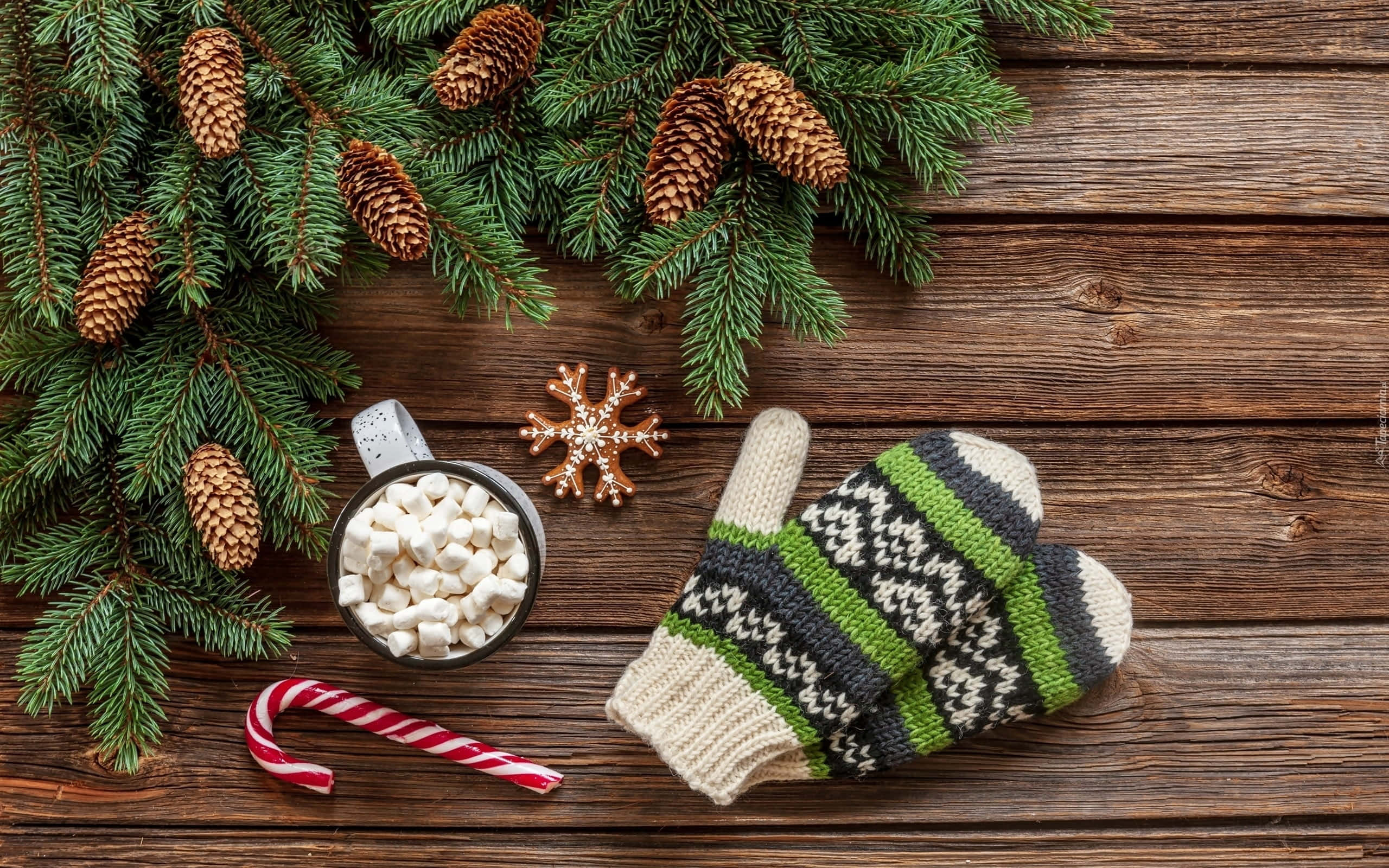 mittens, wool, pine branches, 2K Desktop Wallpaper