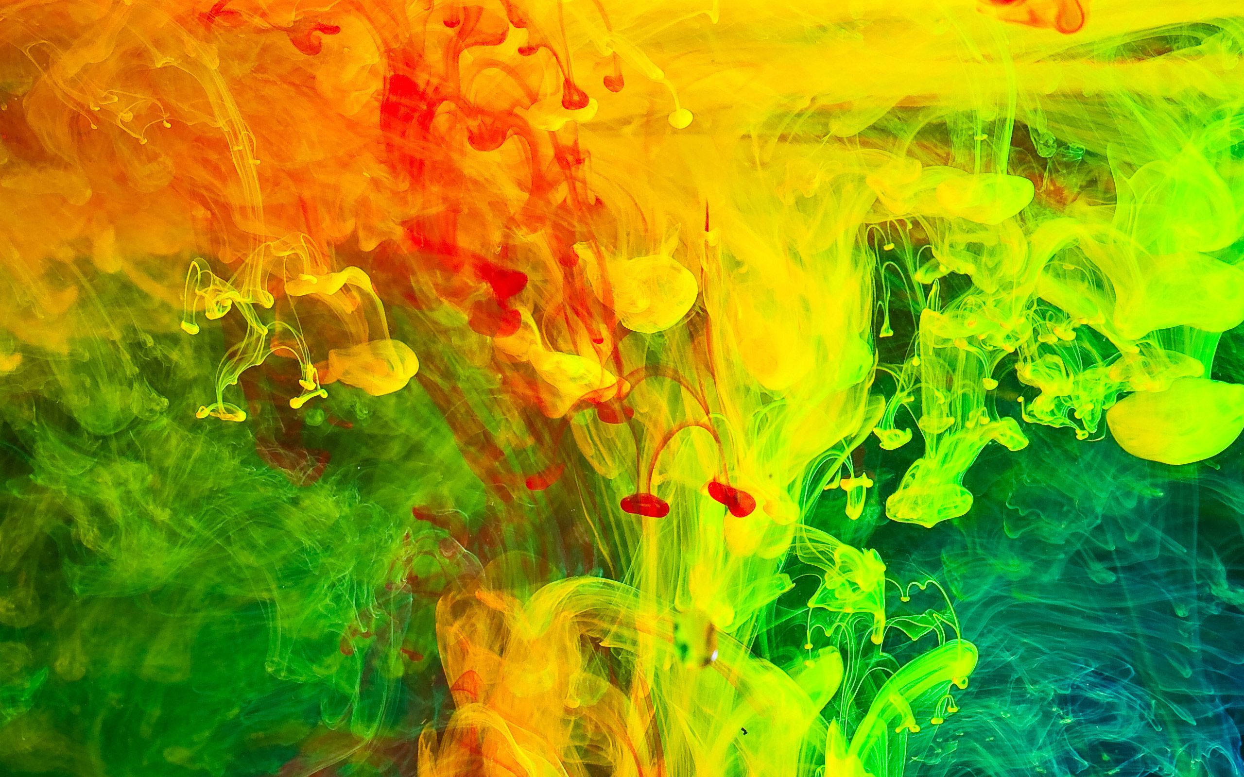 yellow, orange, green, 2K Desktop Wallpaper