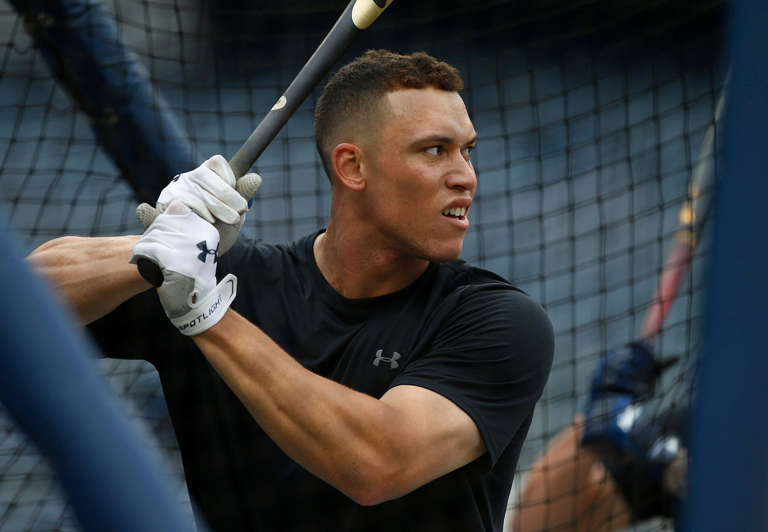 MLB Players, baseball player, batting cage, 2K Desktop Wallpaper