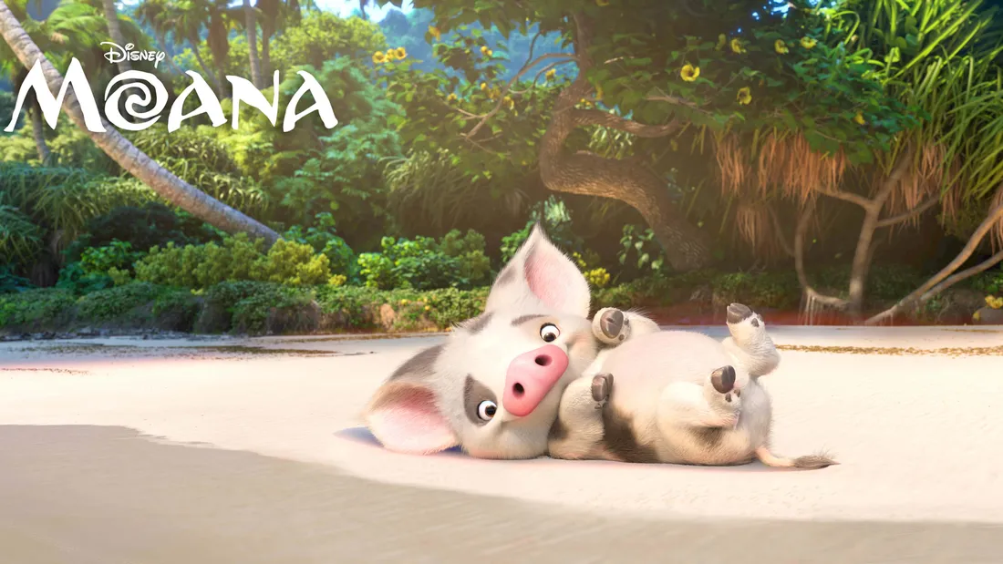 Moana Aesthetic