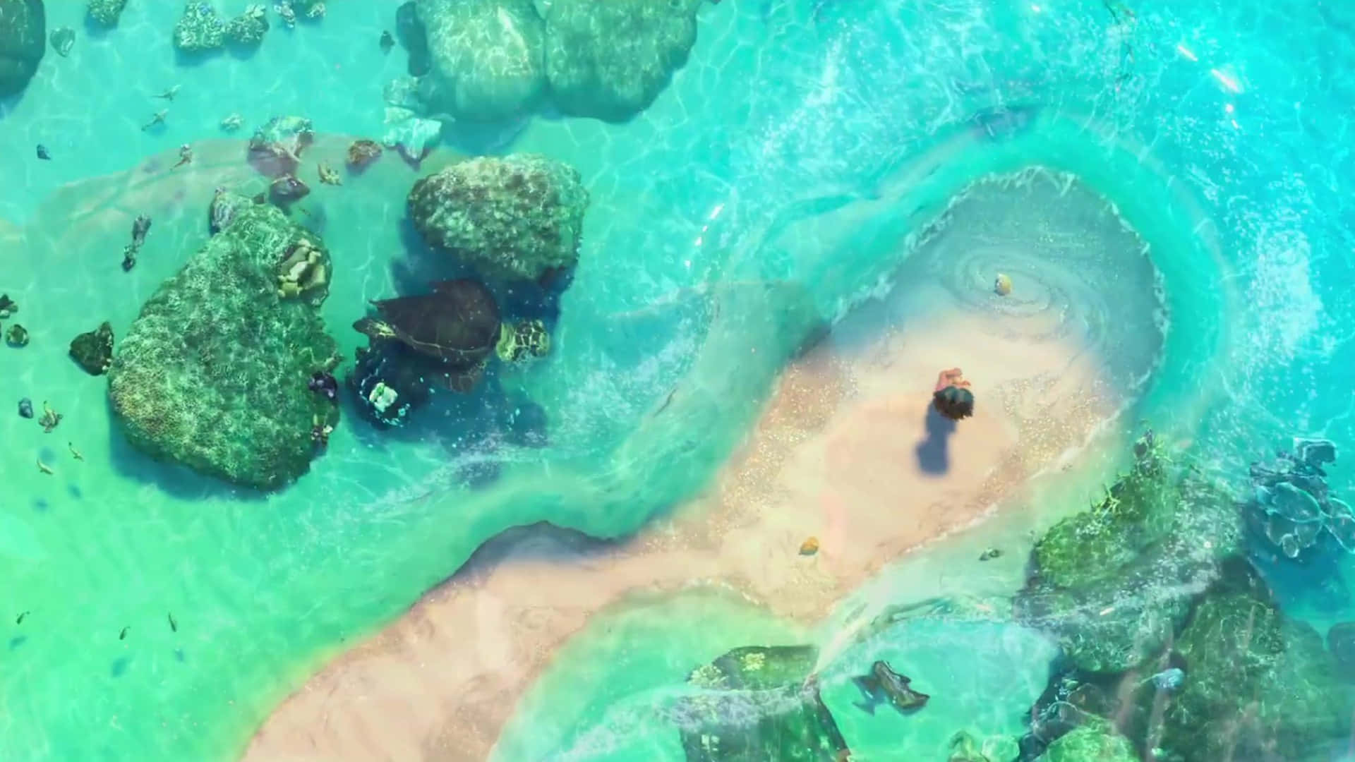 Moana, tropical lagoon, aerial view, Full HD Desktop Wallpaper