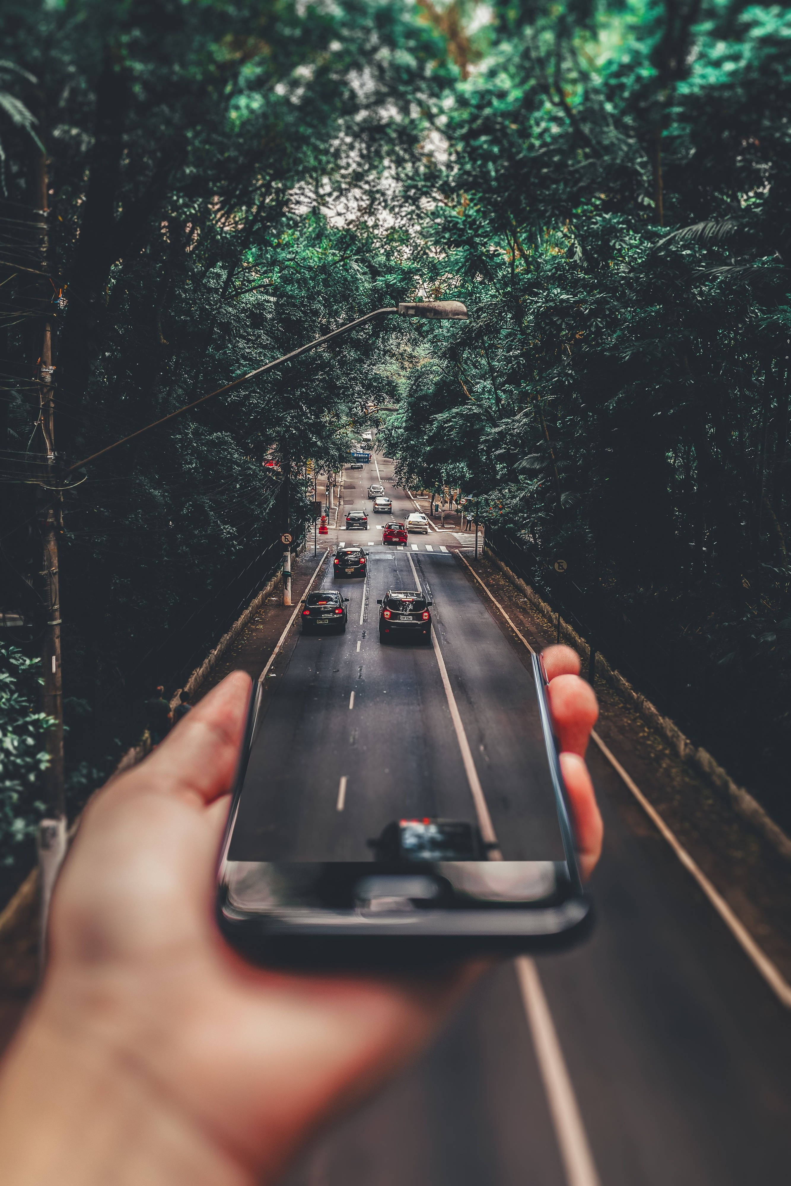smartphone, winding tree-lined road, cars moving, 4K Phone Wallpaper