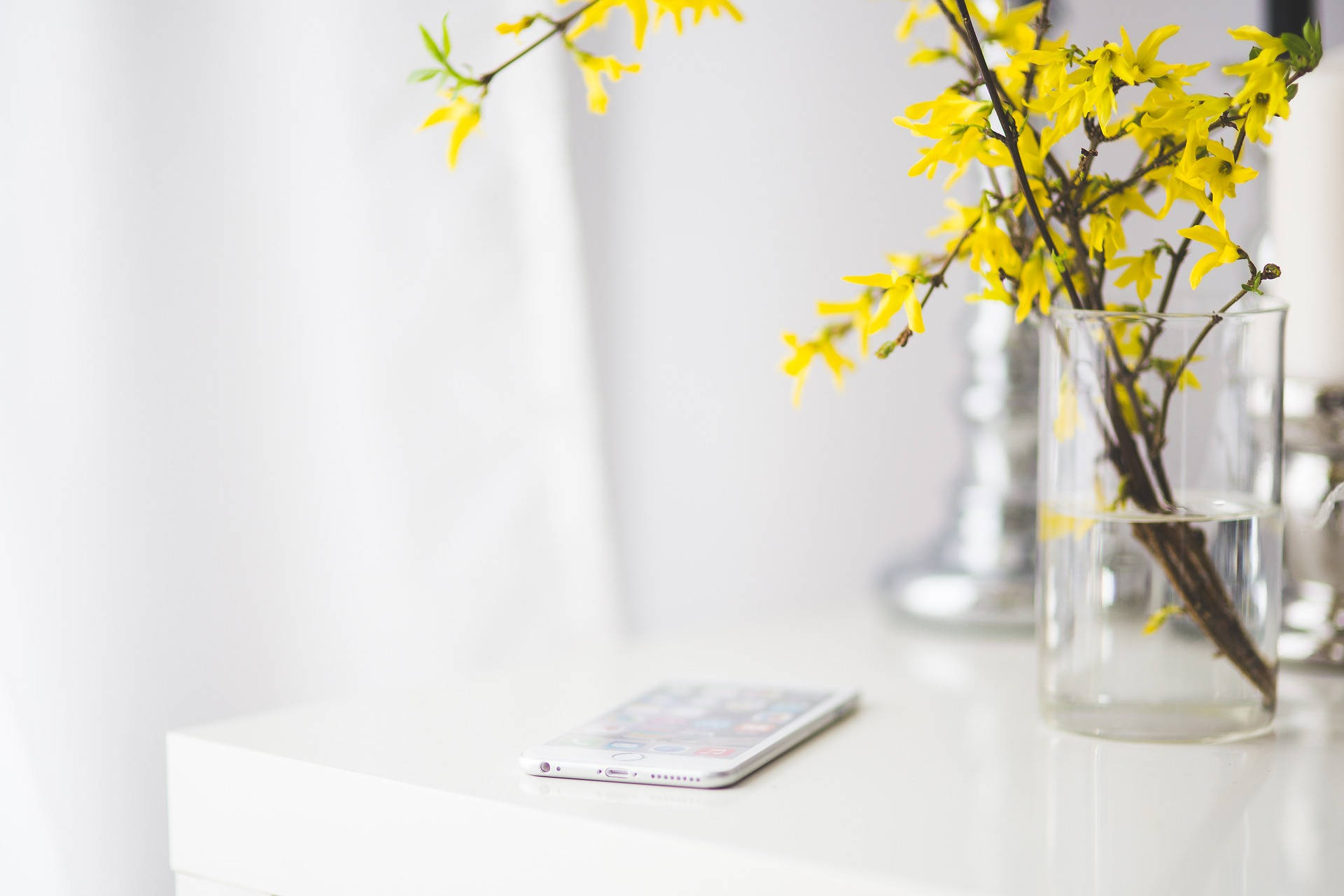 smartphone, glass vase, bright yellow forsythia blossoms, Full HD Desktop Wallpaper