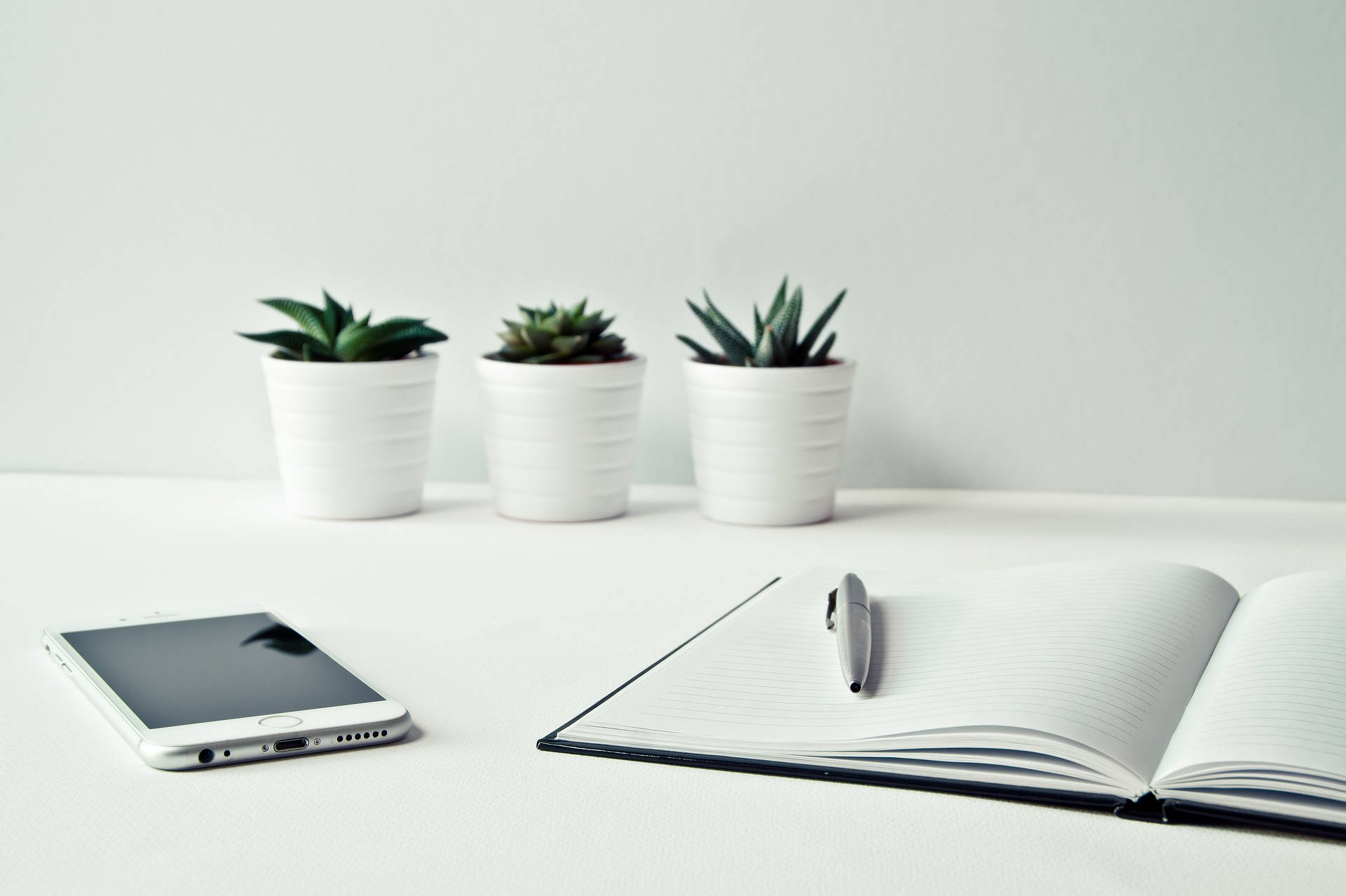 white desk setup, three potted succulents, notebook, Full HD Desktop Wallpaper