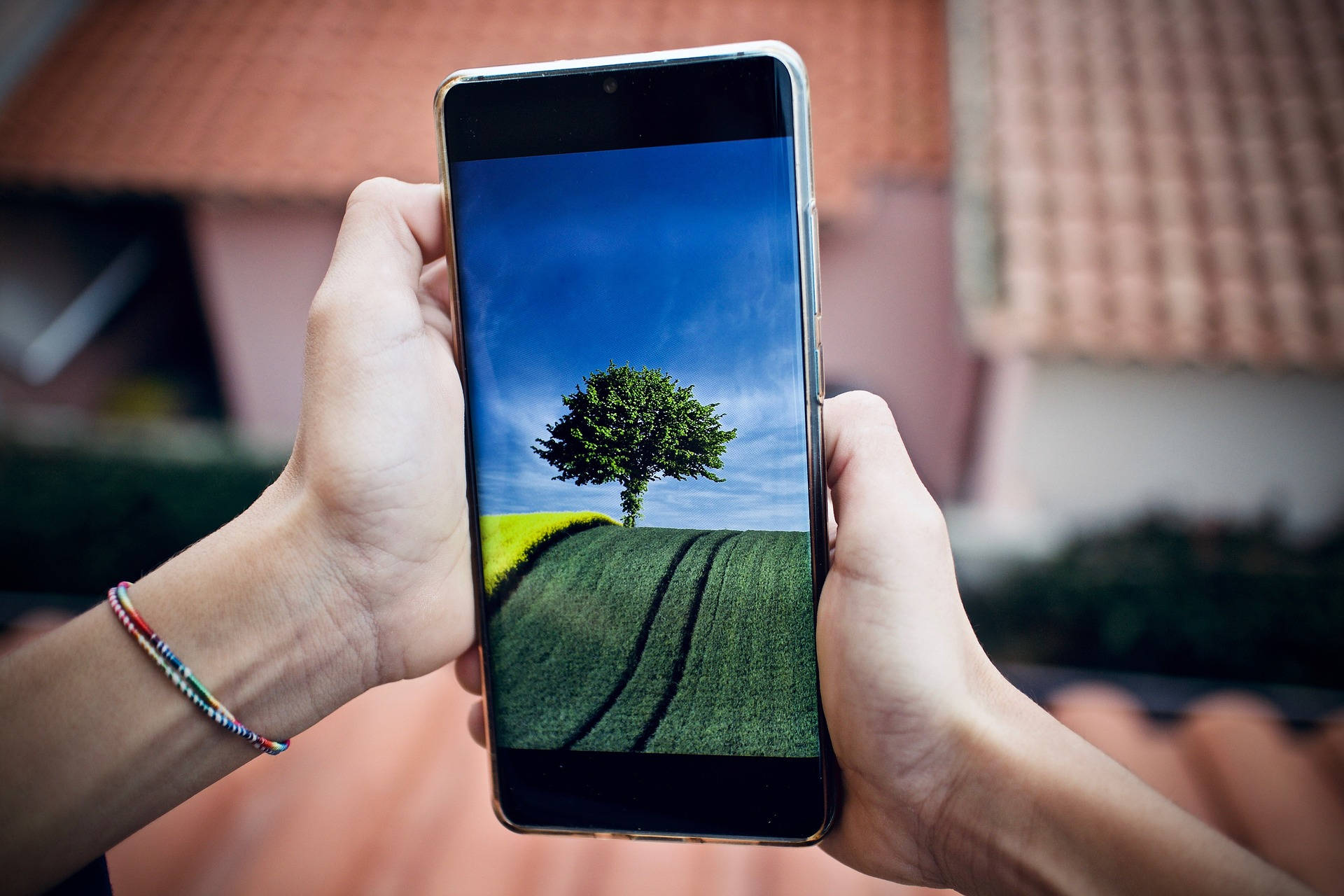 smartphone, lone tree, green field, Full HD Desktop Wallpaper