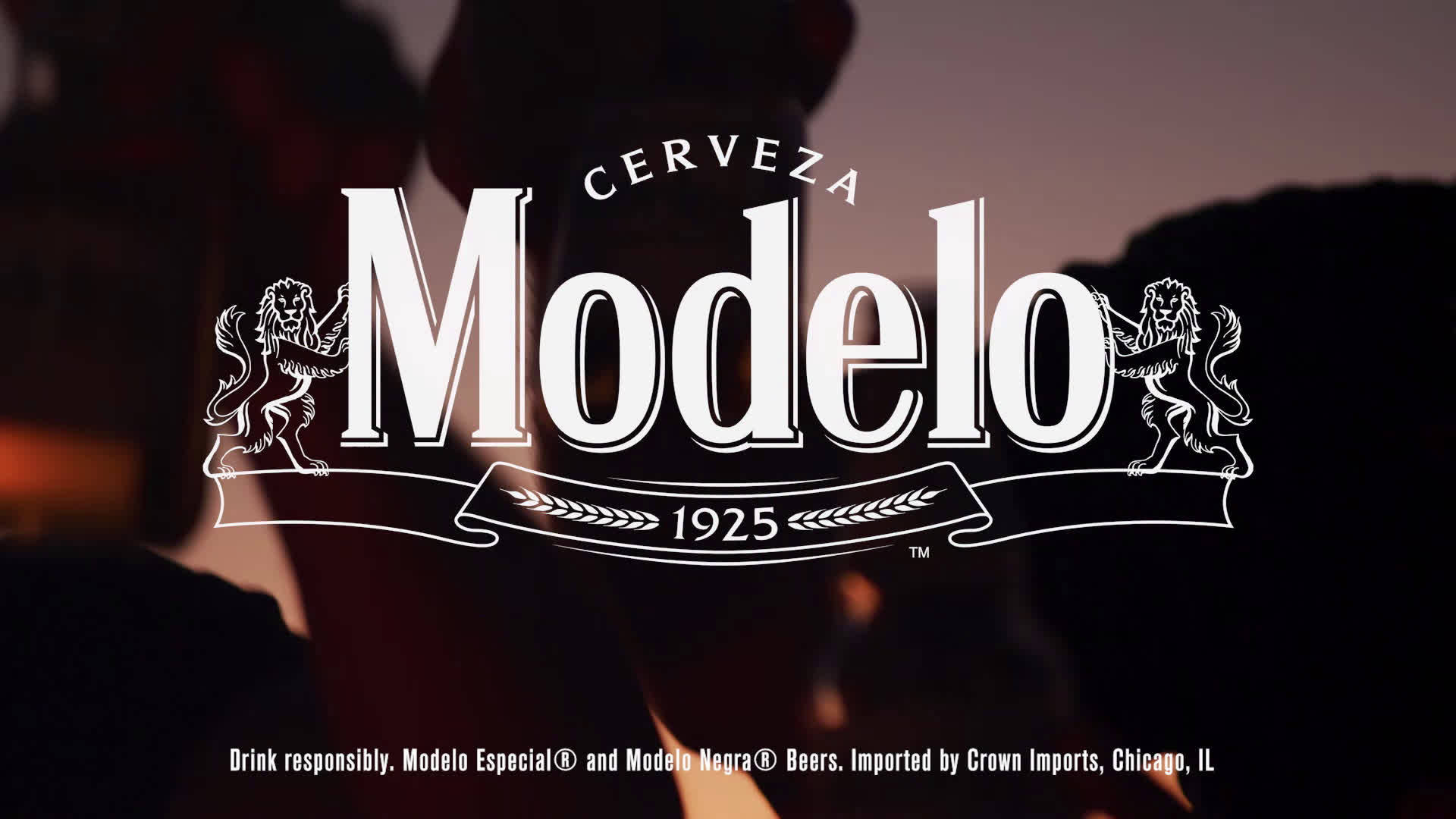 Modelo Especial, Modelo logo, lion emblems, Full HD Desktop Wallpaper