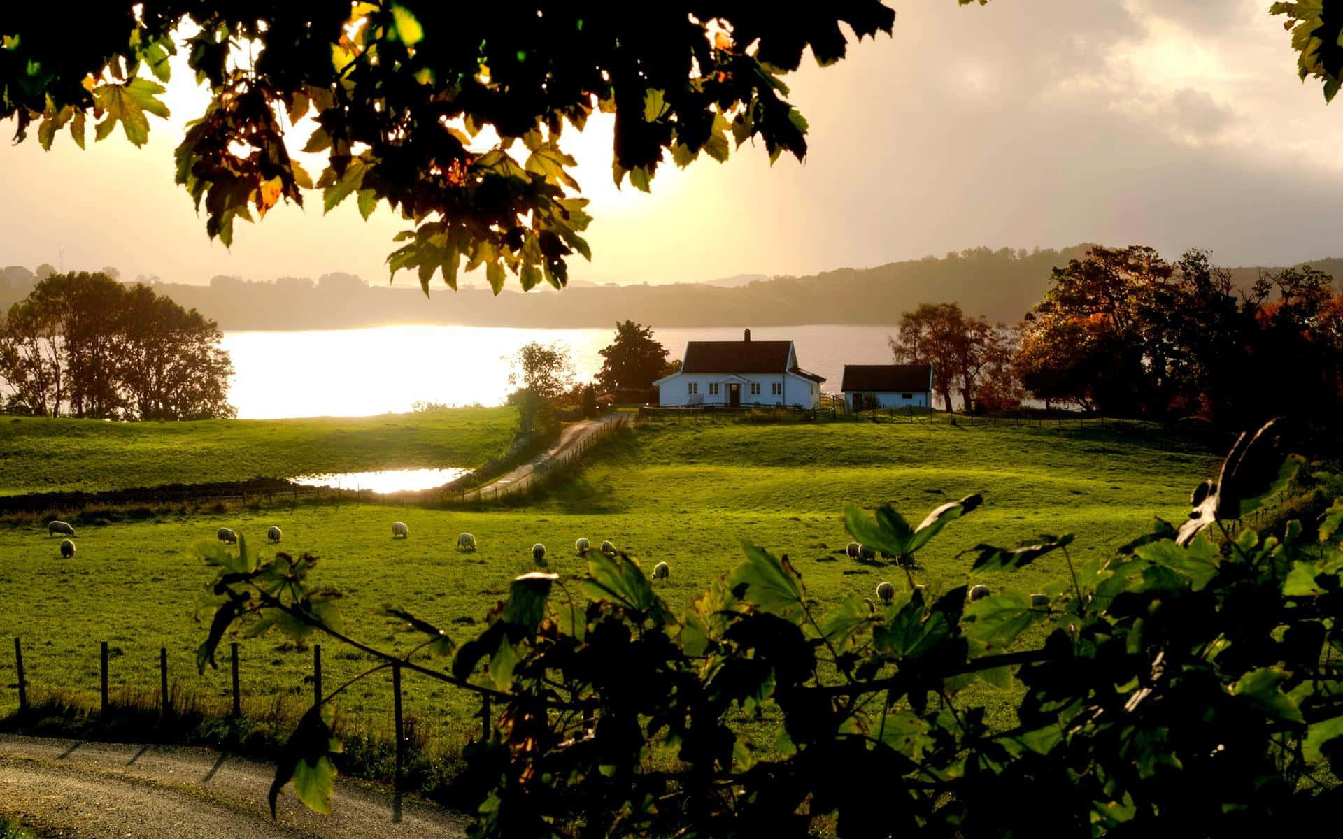 idyllic farmhouse, sunset, lakeside view, Full HD Desktop Wallpaper