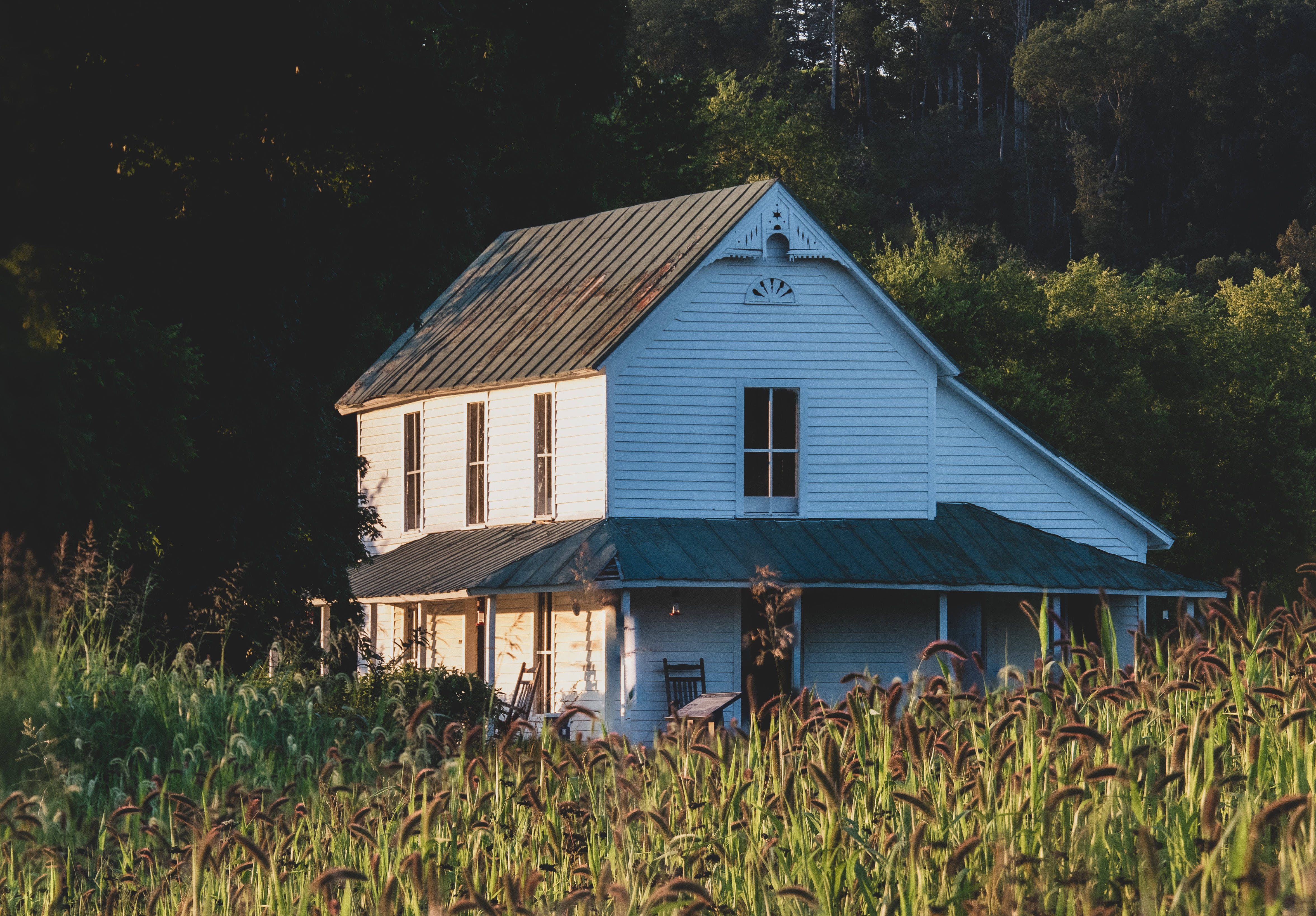 weathered white farmhouse, dark roof, tall grasses, 4K Desktop Wallpaper