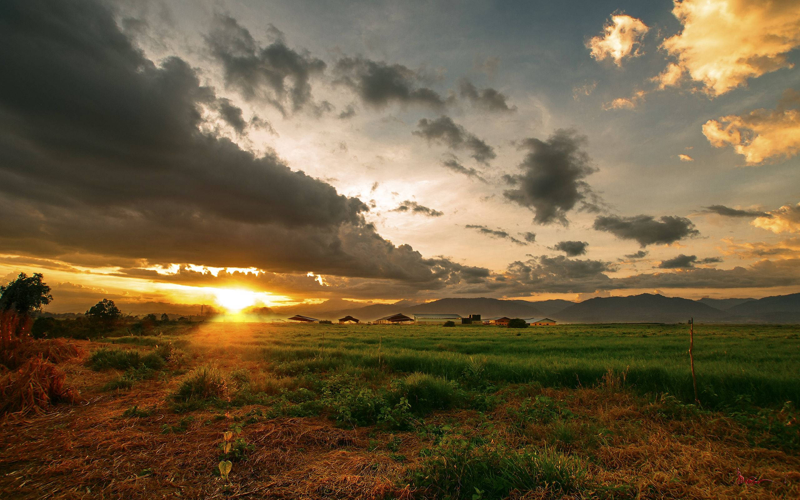 Sunset, vast green field, distant mountains, 2K Desktop Wallpaper