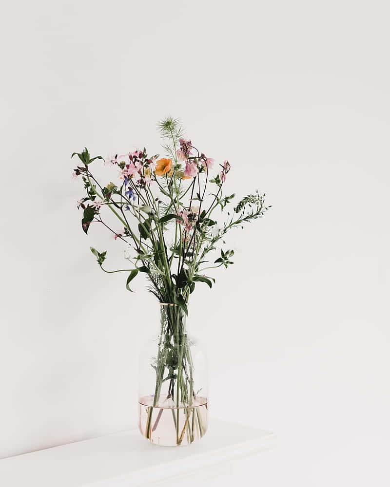 minimalist floral arrangement, clear glass vase, pink purple and orange flowers, SD Phone Wallpaper