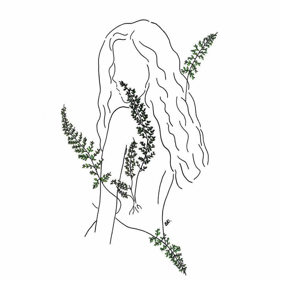 minimalist line drawing, woman's silhouette, ferns growing from her back and hair, SD Desktop Wallpaper
