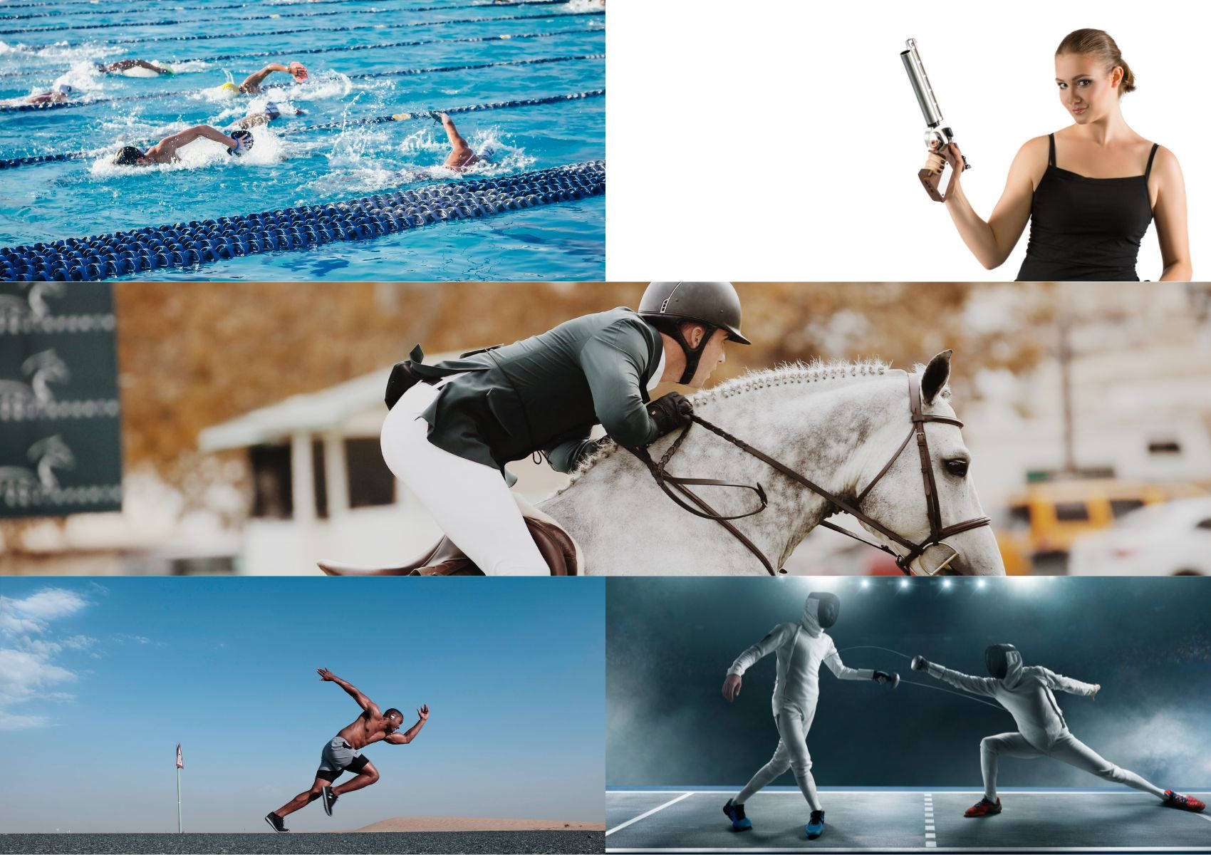Modern Pentathlon, equestrian show jumping, horse jumping, HD Desktop Wallpaper