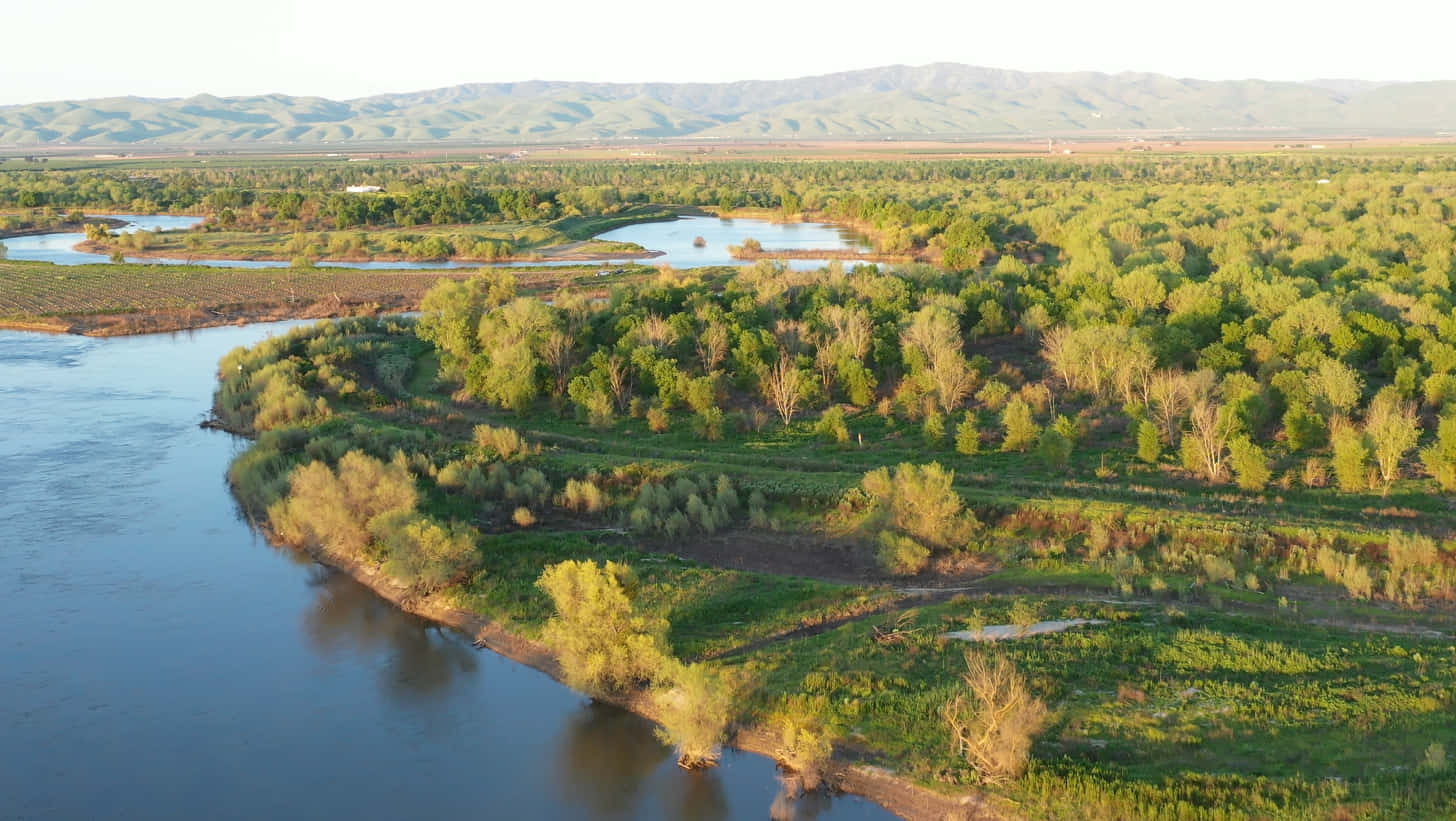 Modesto River, wetlands, aerial view, HD Desktop Wallpaper