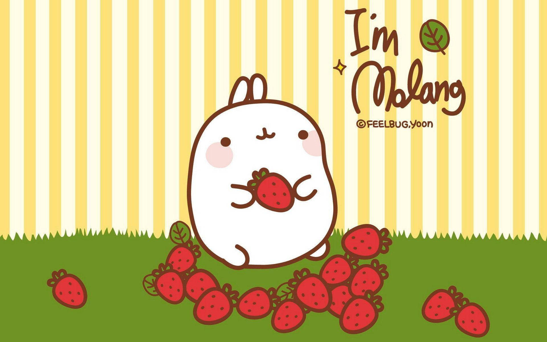 Molang, white cartoon rabbit, green grass, Full HD Desktop Wallpaper