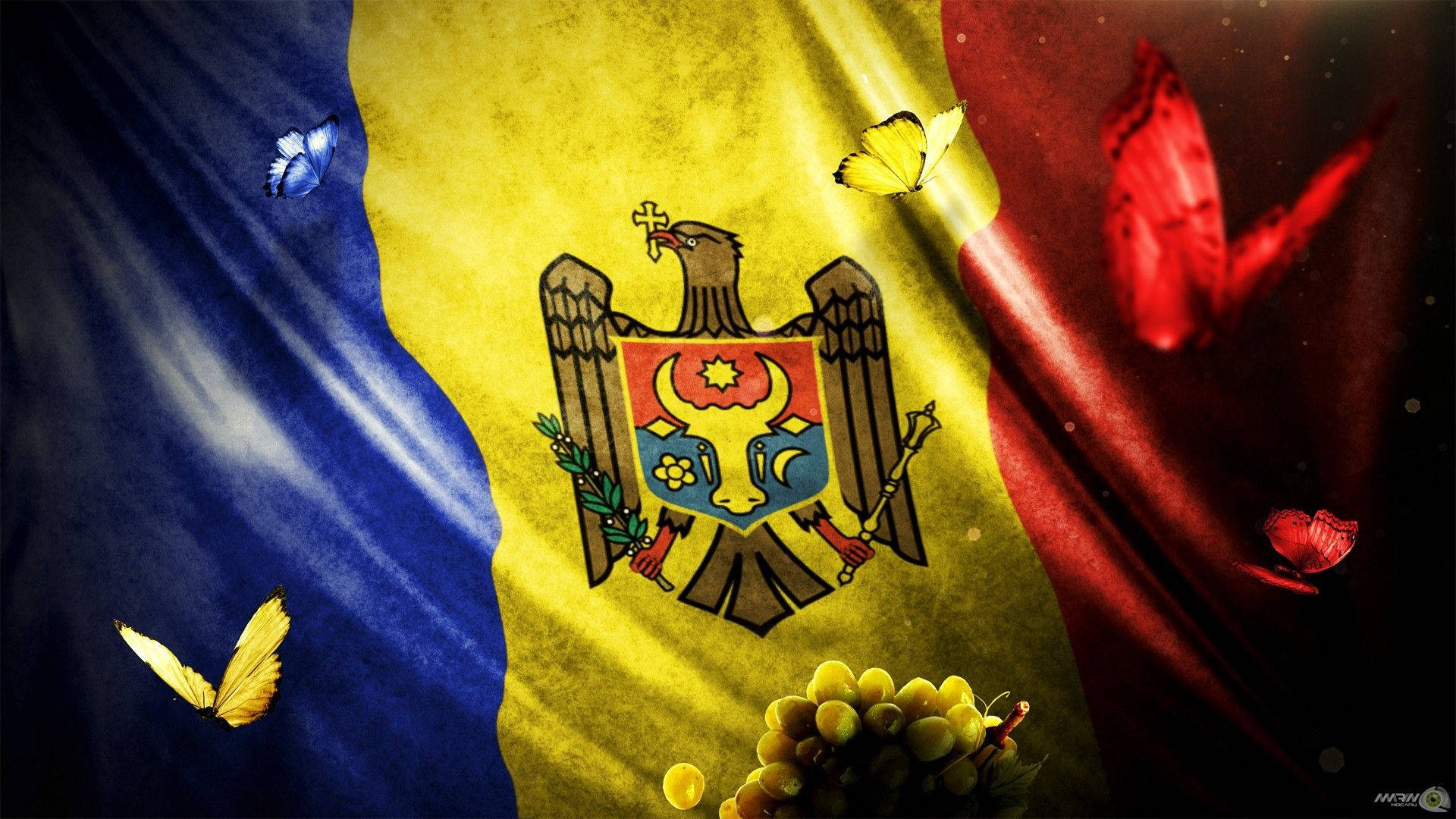 Moldova flag, butterflies, grapes, Full HD Desktop Wallpaper