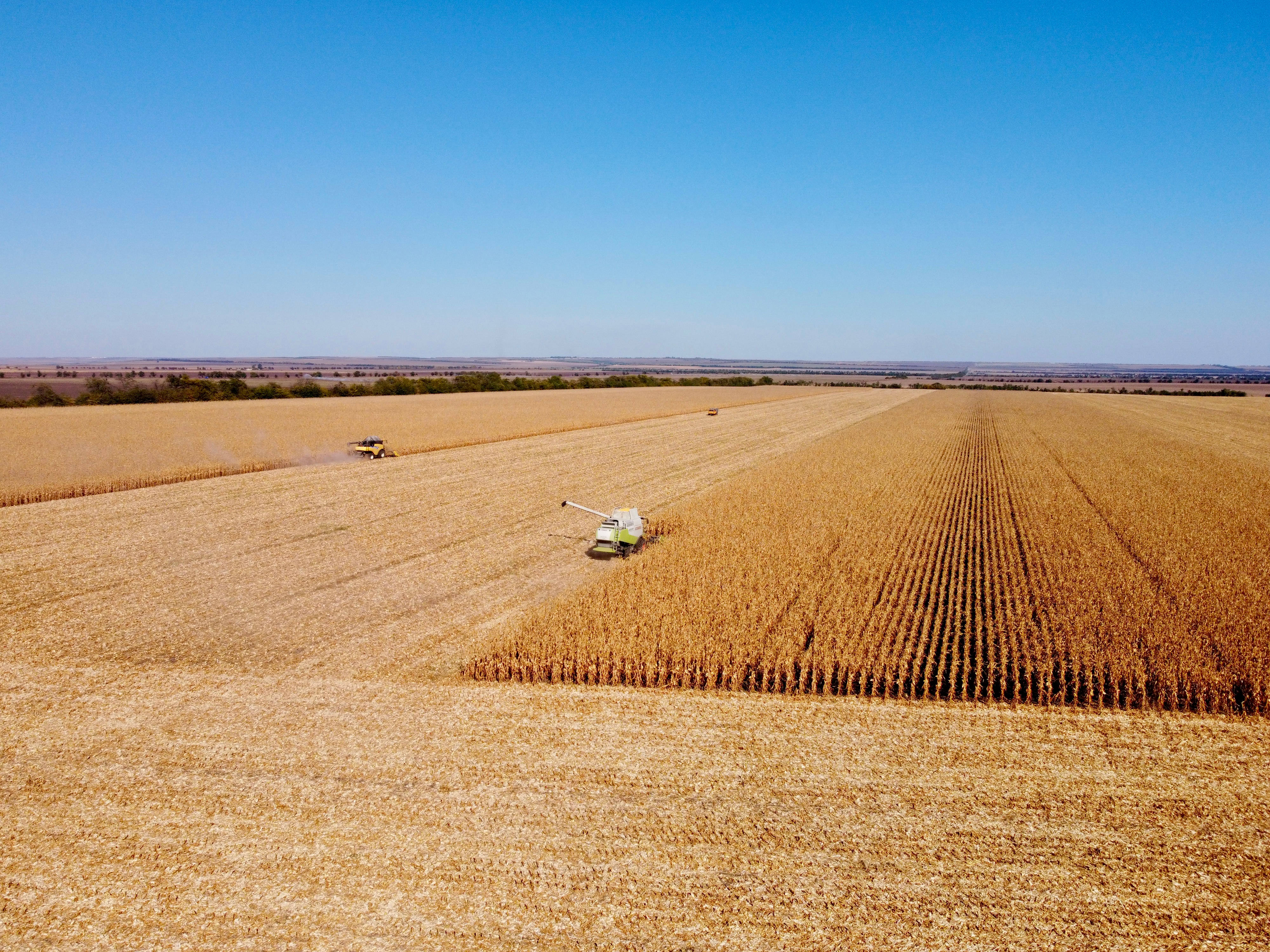 Moldova, agricultural corn field, harvesters, 4K Desktop Wallpaper