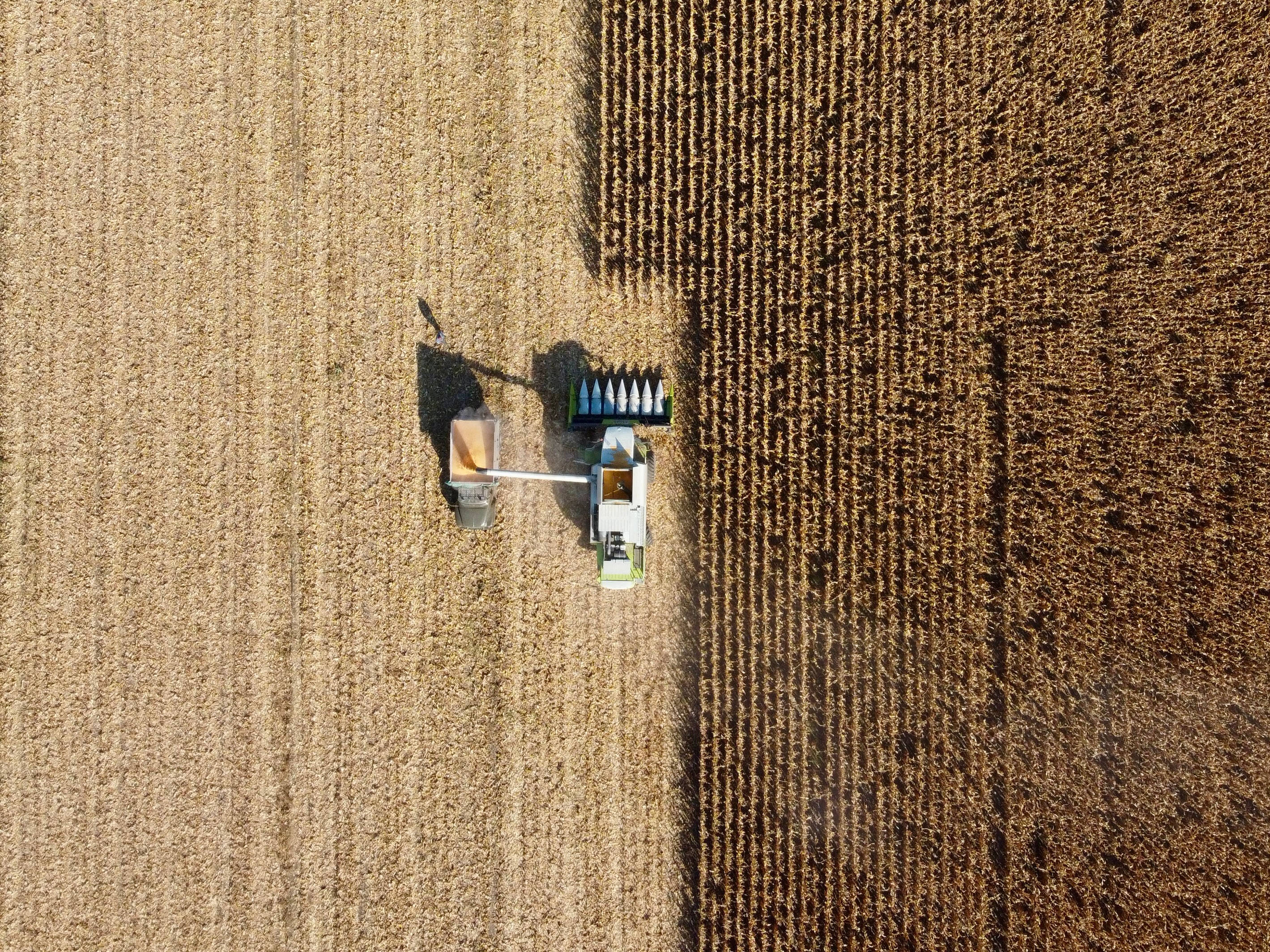 Moldova, corn fields, combine harvester, 2K Desktop Wallpaper
