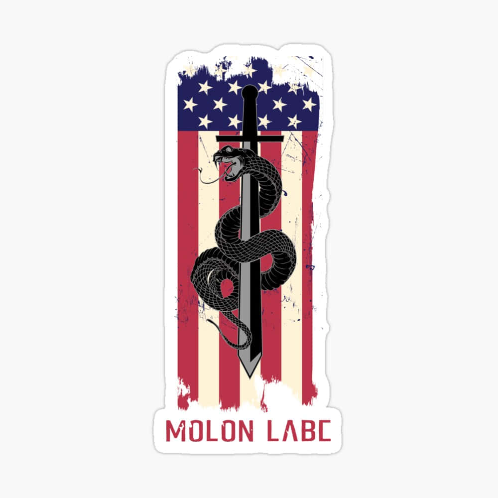 Molon Labe, American flag, black snake, SD Desktop Wallpaper