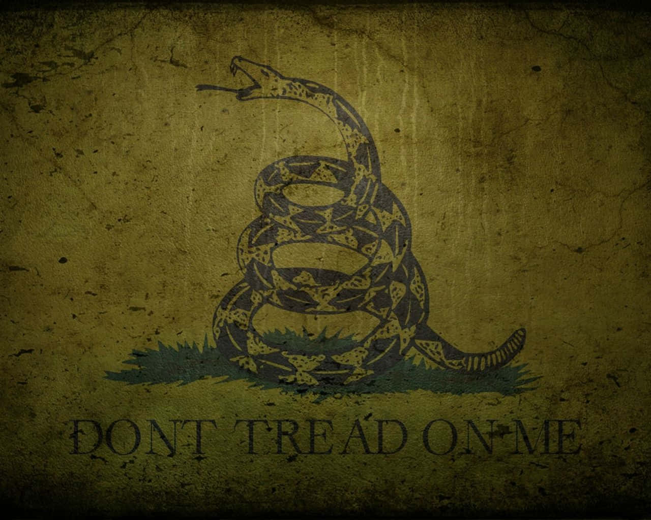 Molon Labe, rattlesnake, open mouth, HD Desktop Wallpaper
