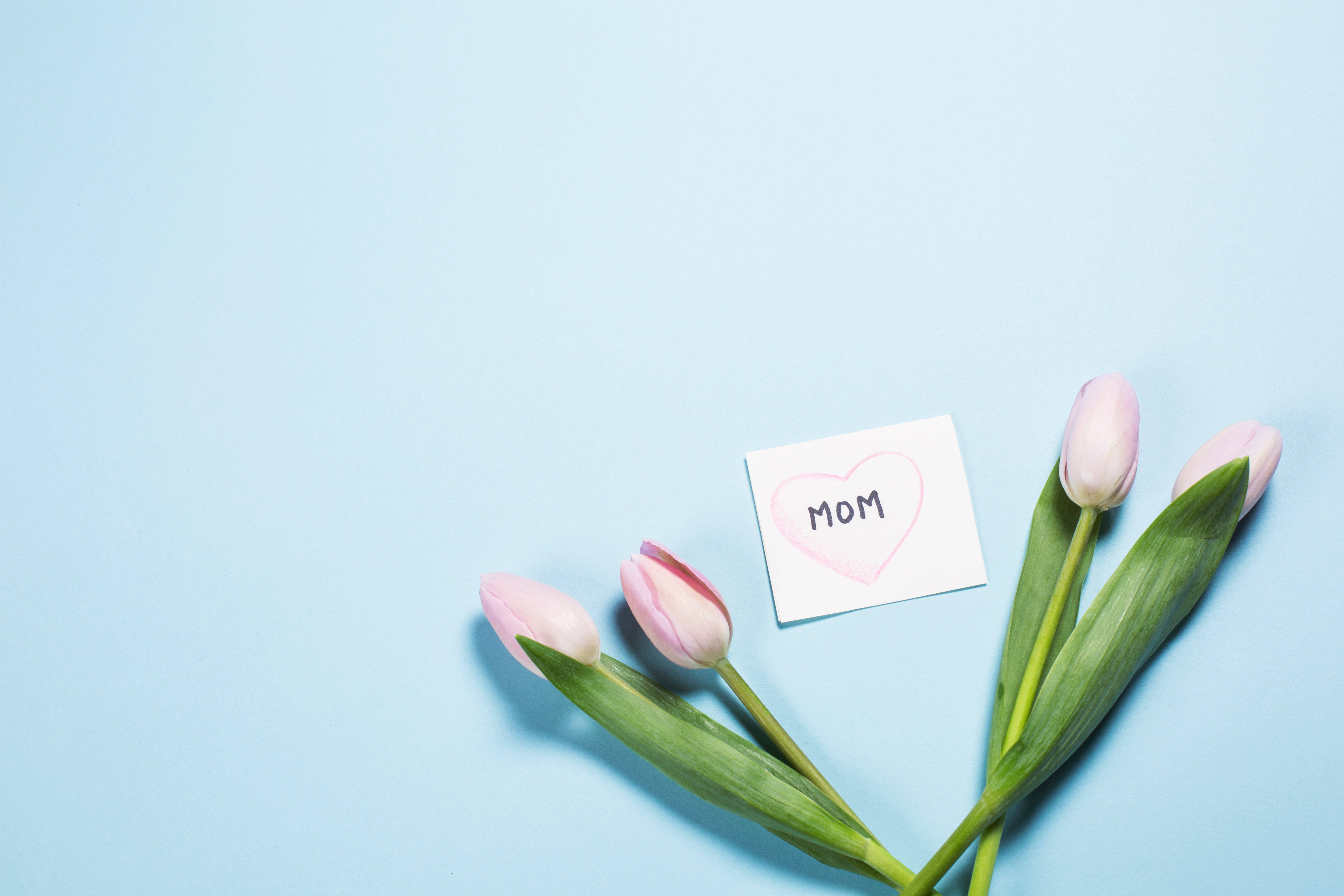 tulips, pink tulips, handwritten note, 5K Desktop Wallpaper