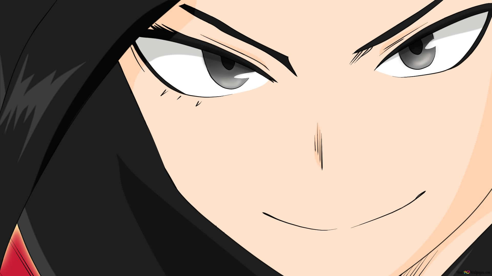 Momo Yaoyorozu, gray eyes, subtle smirk, Full HD Desktop Wallpaper