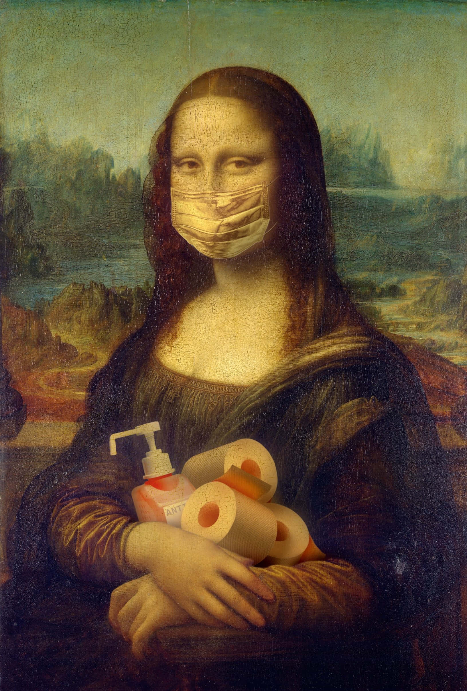 Mona Lisa, medical mask, toilet paper rolls, Full HD Phone Wallpaper