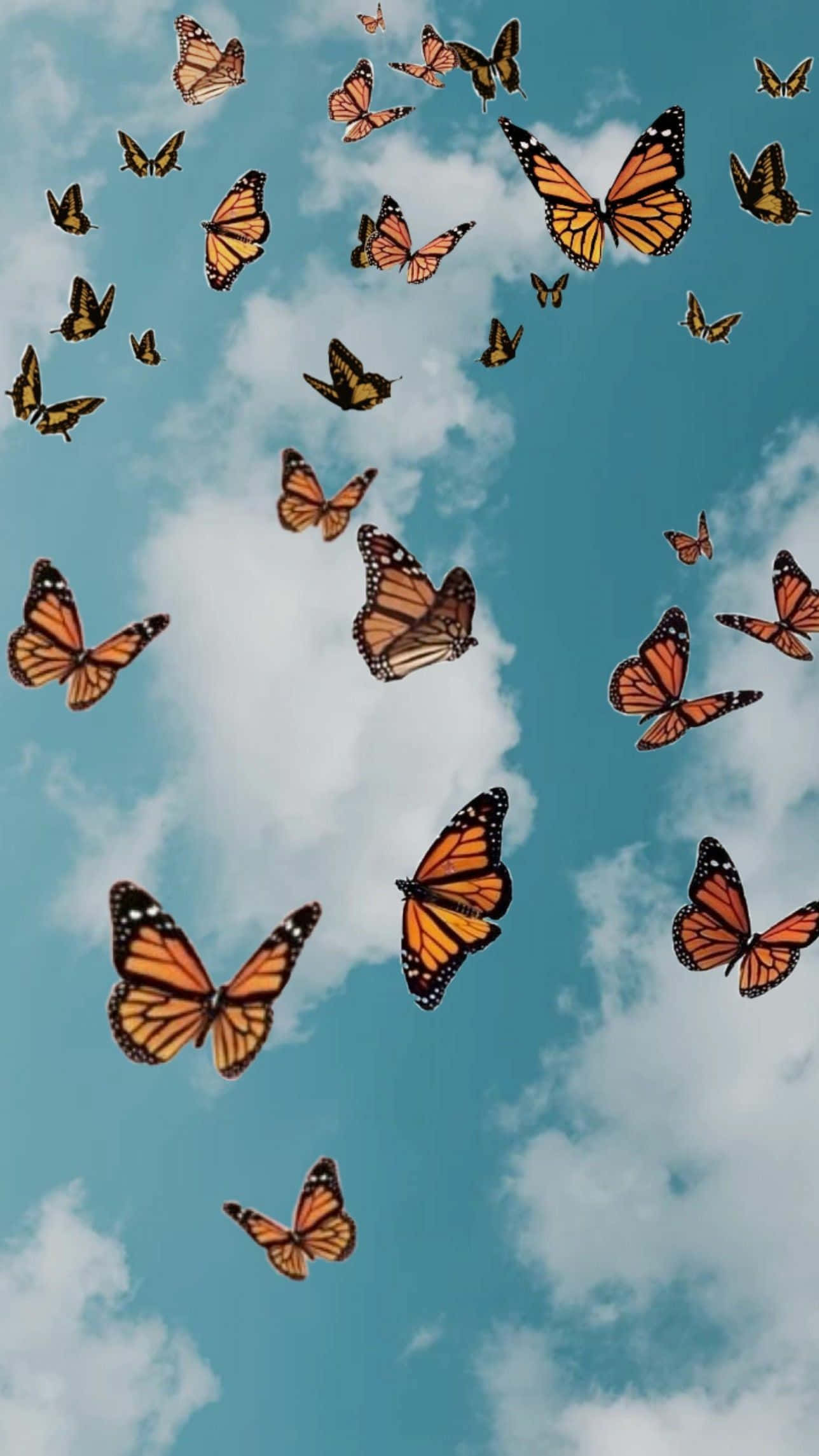 monarch butterflies, bright blue sky, fluffy white clouds, Full HD Phone Wallpaper