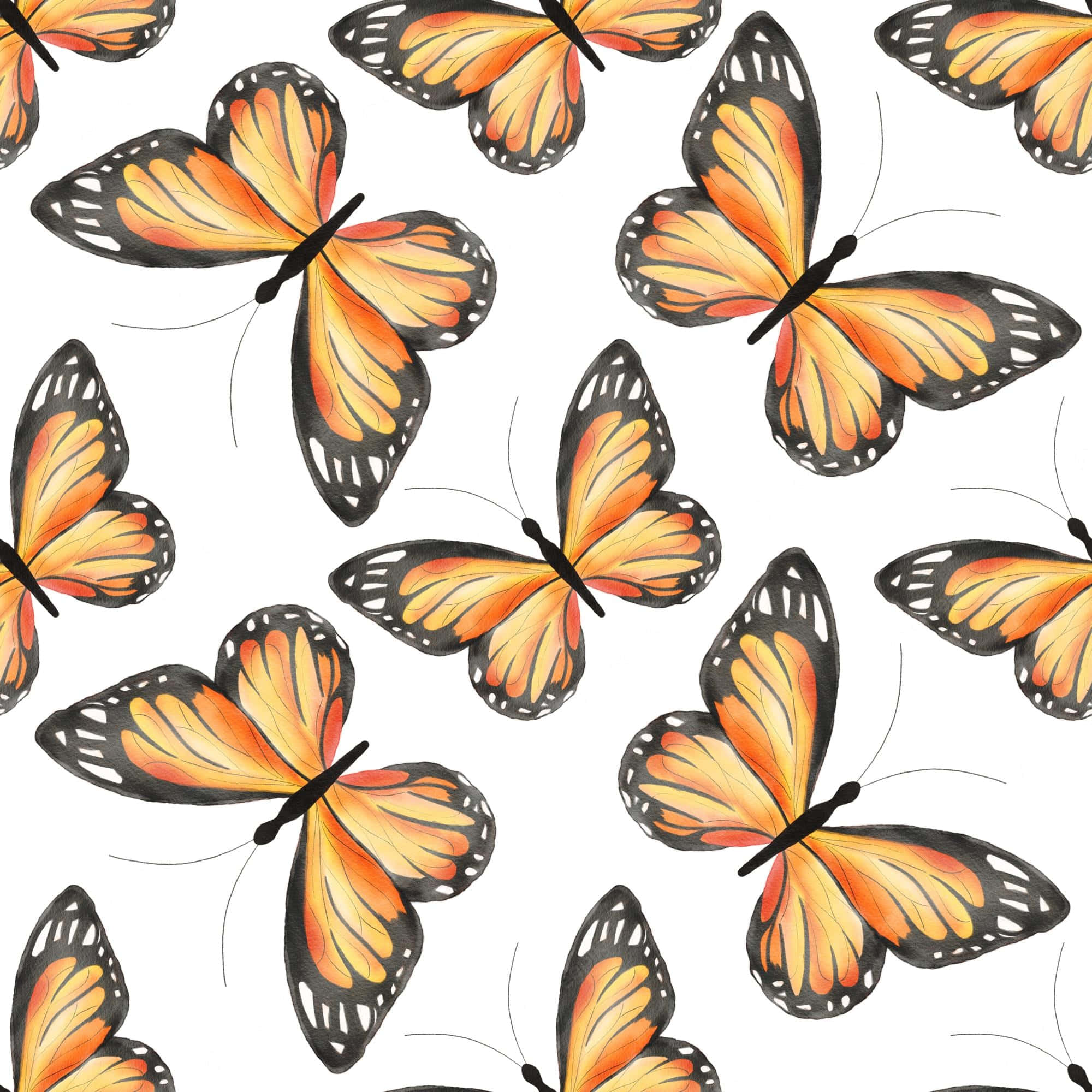 Monarch Butterflies, white aesthetic, watercolor style, Full HD Desktop Wallpaper