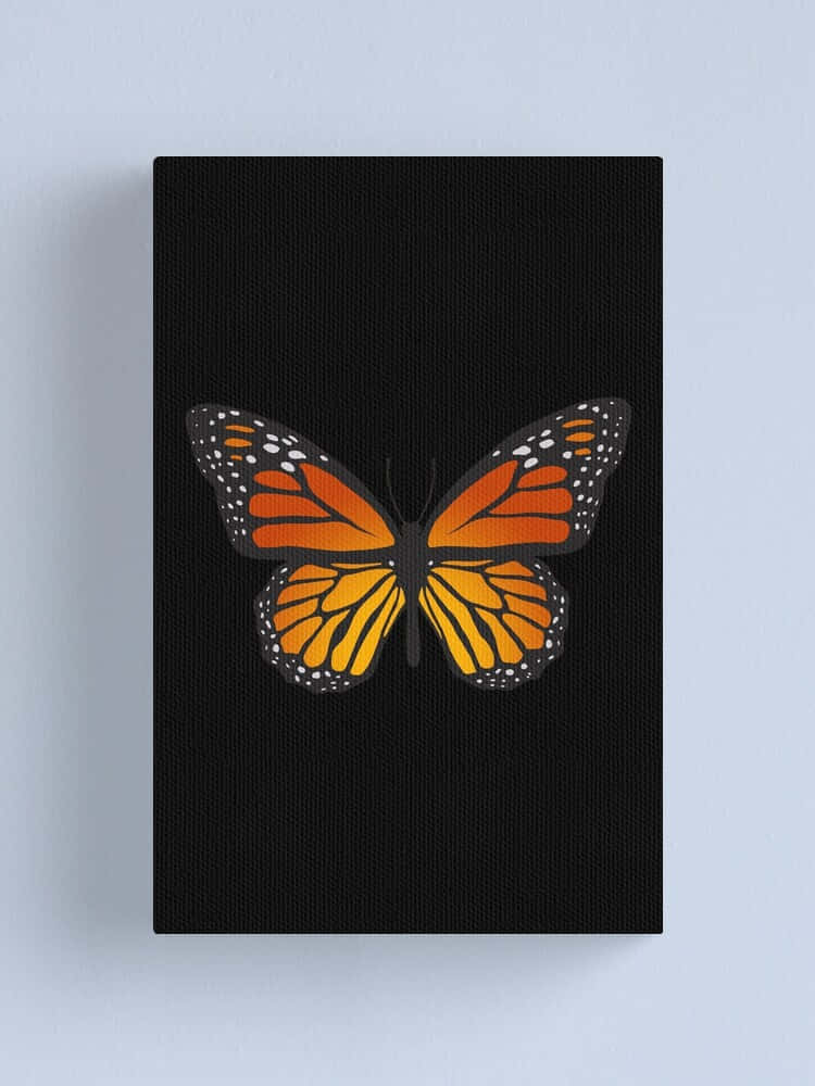 orange monarch butterfly, black textured canvas, light blue wall, SD Phone Wallpaper
