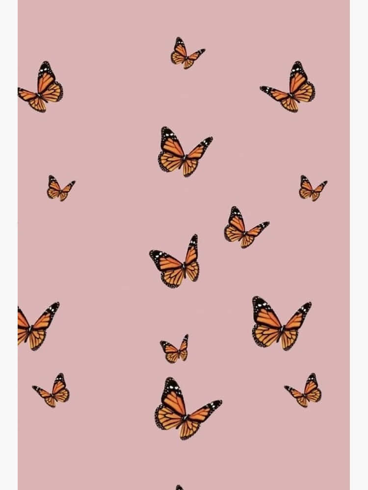 monarch butterflies, pink aesthetic, soft pink background, SD Phone Wallpaper