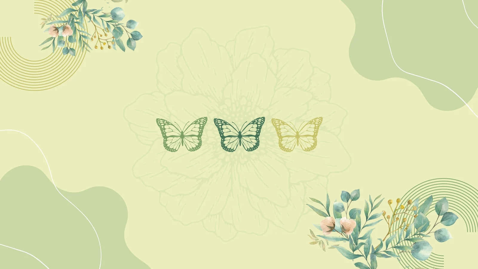 sage green, mint background, green and gold butterflies, HD Desktop Wallpaper