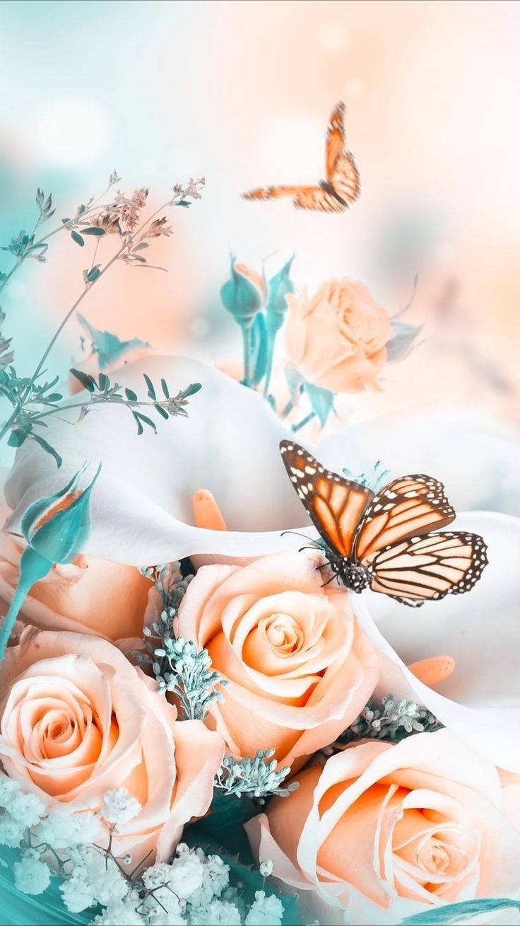 Monarch Butterflies, light orange floral, soft peach roses, HD Phone Wallpaper