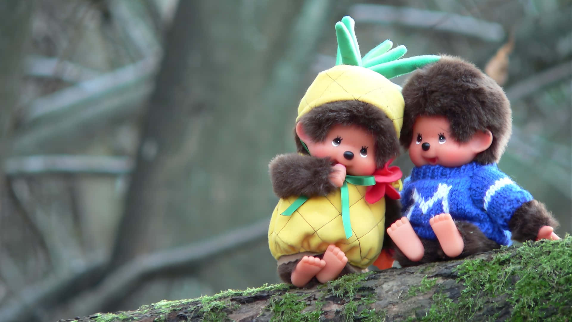 Monchhichi, pineapple, blue sweater, Full HD Desktop Wallpaper