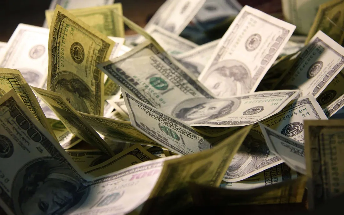 Money Bag