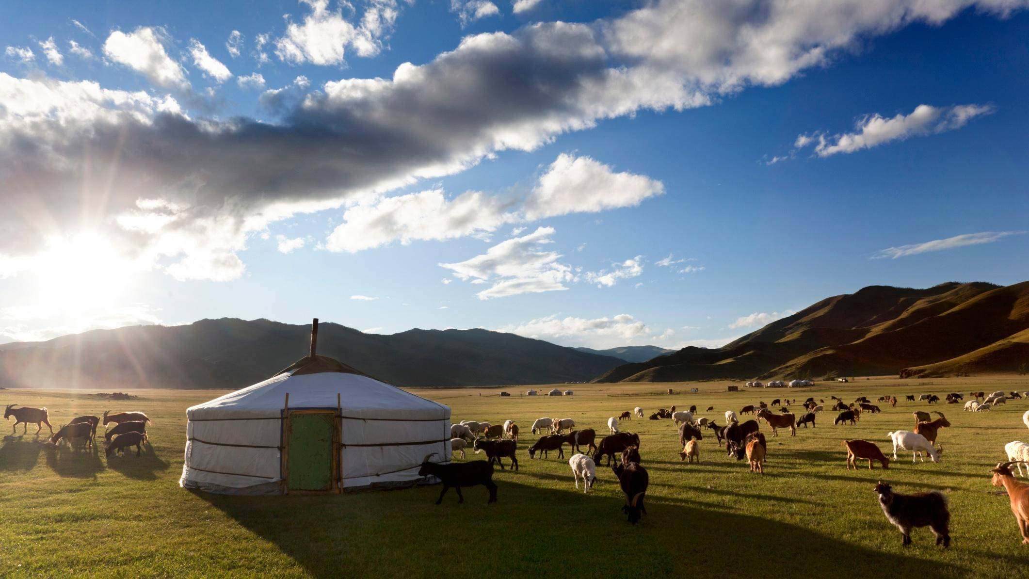 Mongolia, nomadic house, white yurt, Full HD Desktop Wallpaper