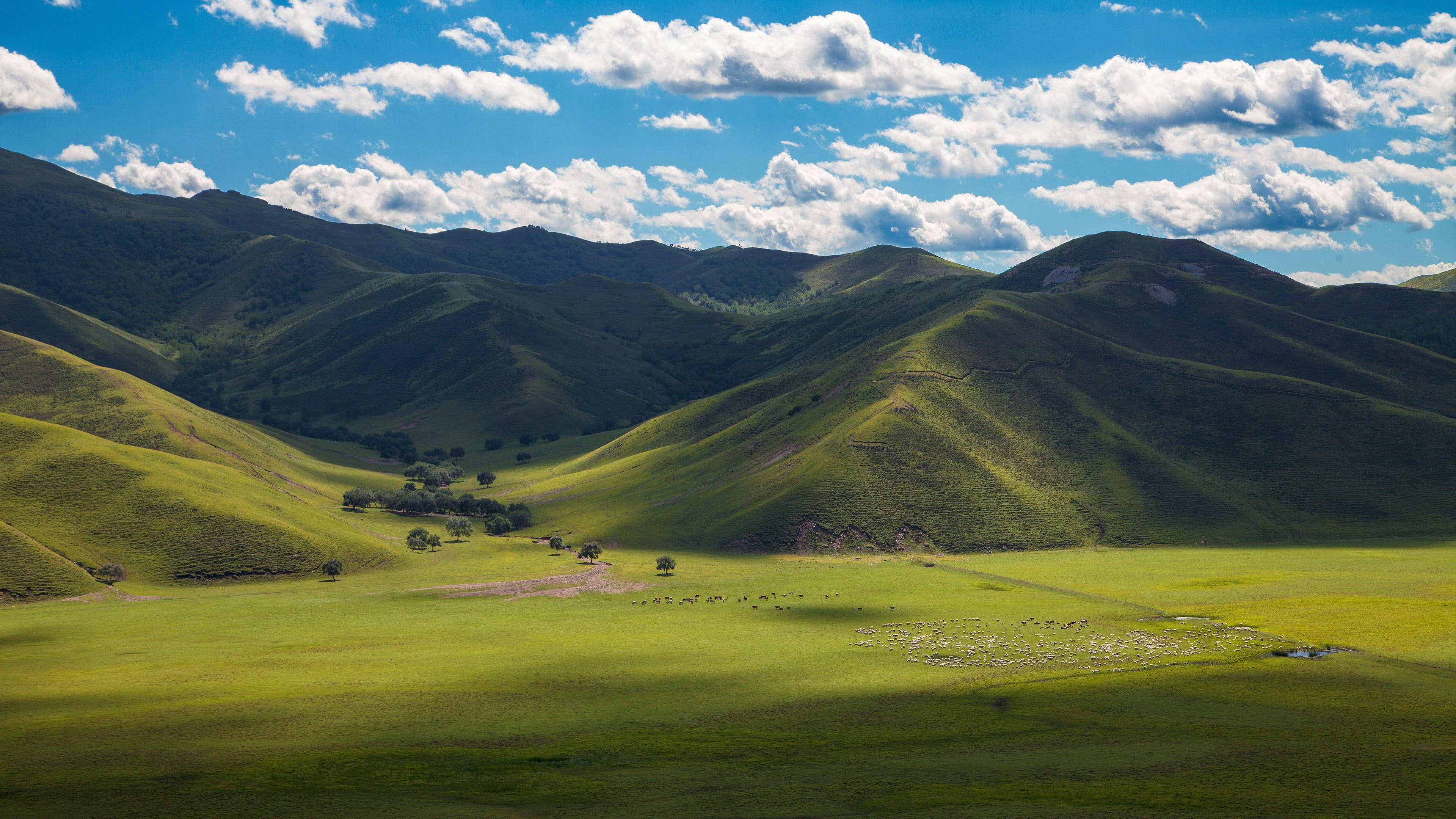 mountains in mongolia, vast green rolling hills, bright blue sky, 4K Desktop Wallpaper
