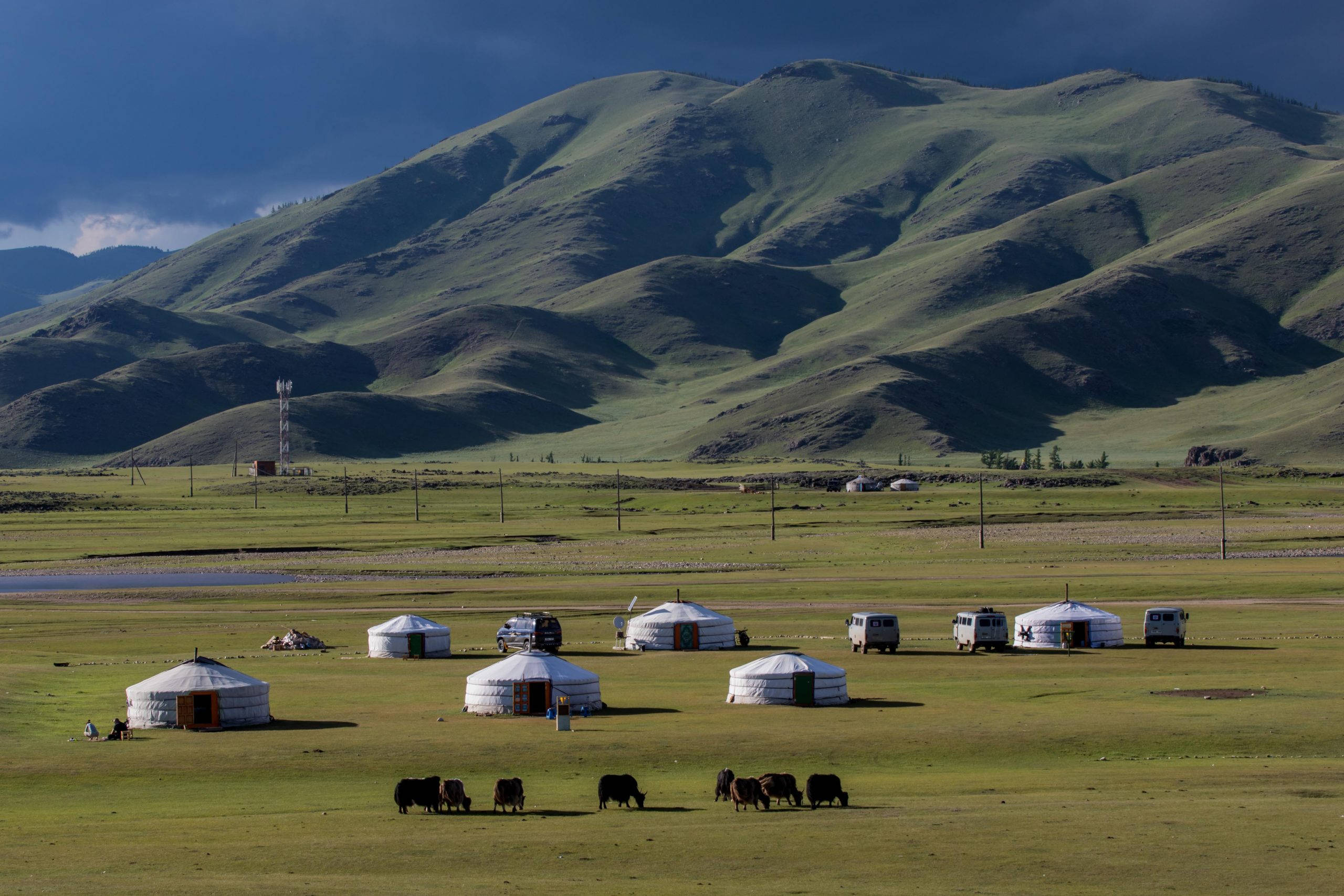 Mongolia, green plains, white yurts, 2K Desktop Wallpaper