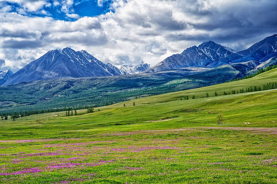 Mongolia, vast prairie, green meadow, SD Desktop Wallpaper