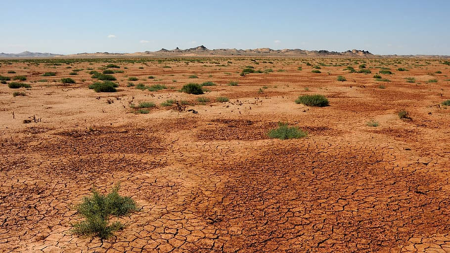 Mongolia, vast cracked red earth desert, clear blue sky, SD Desktop Wallpaper