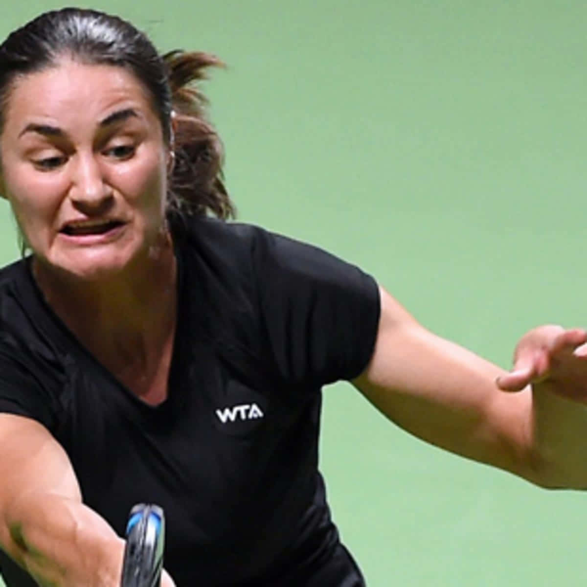 Monica Niculescu, WTA shirt, black, SD Desktop Wallpaper