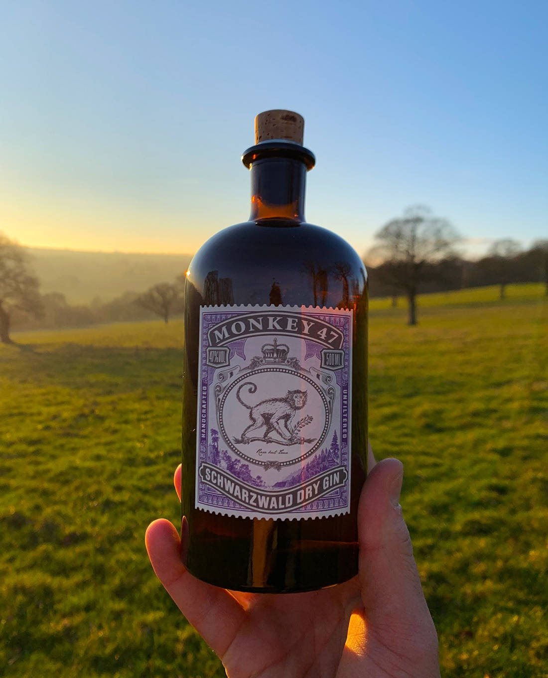 Monkey 47, dark amber bottle, golden sunrise, HD Phone Wallpaper
