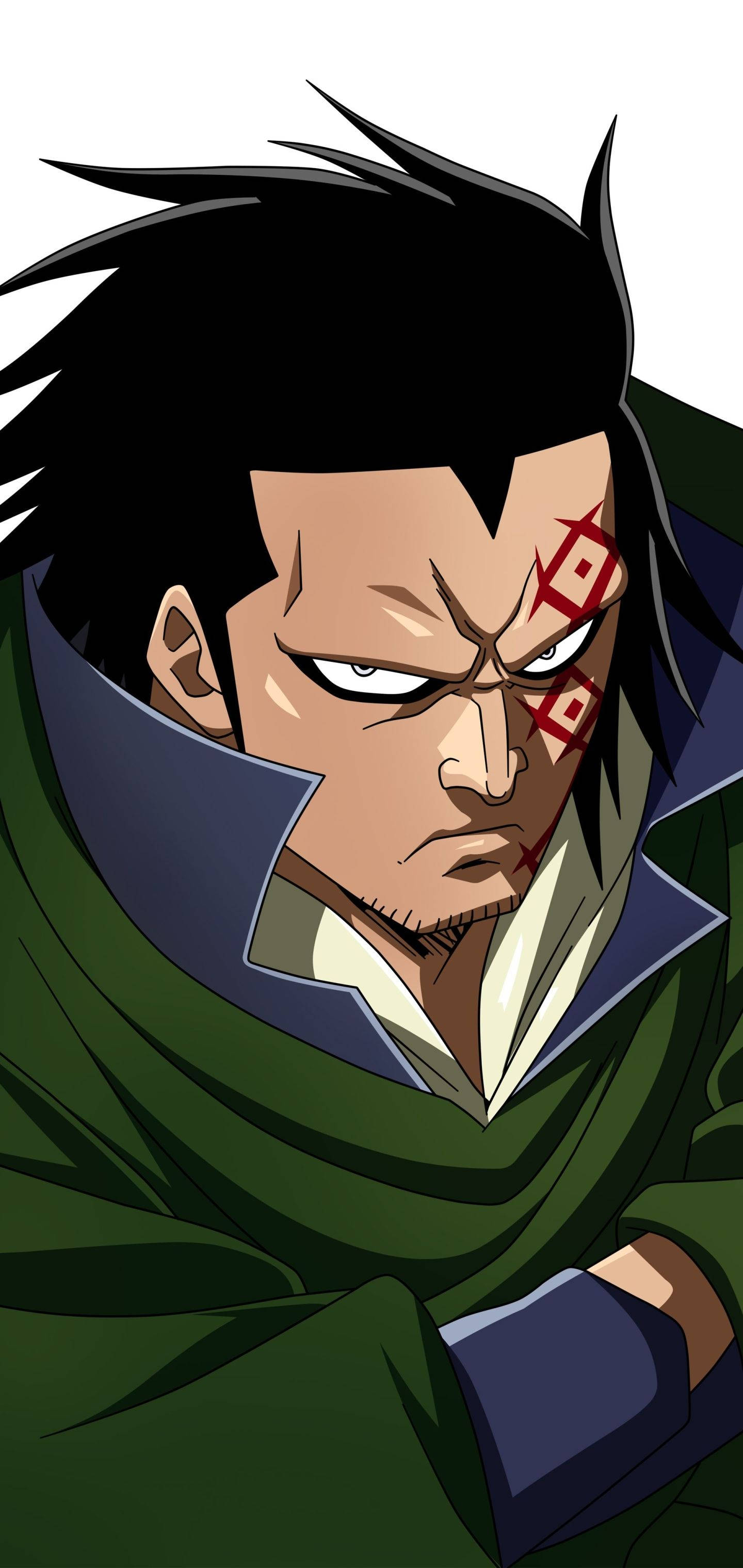 Monkey D Dragon, green cape, black spiky hair, 2K Phone Wallpaper