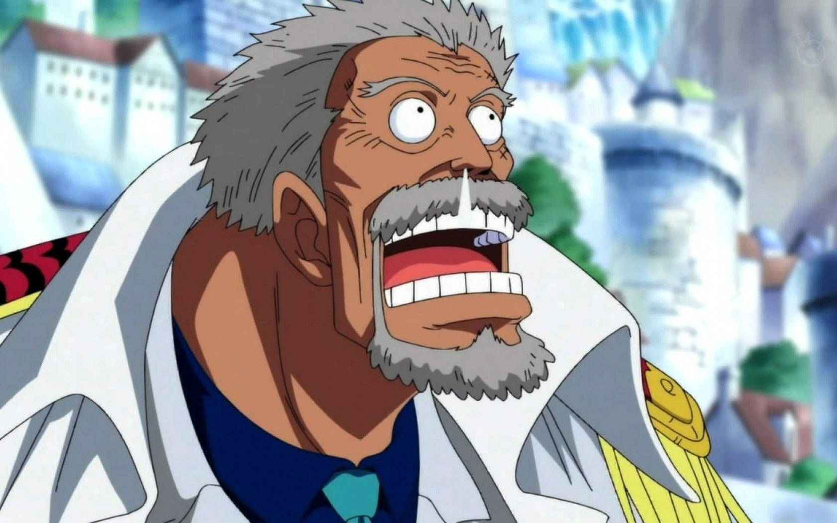 Monkey D Garp, animated elderly man, gray hair, HD Desktop Wallpaper