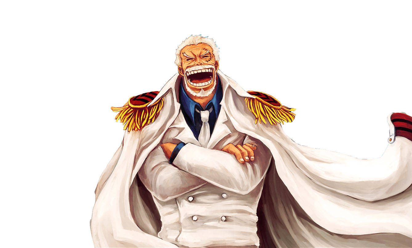 Monkey D Garp, white hair, wide grin, HD Desktop Wallpaper