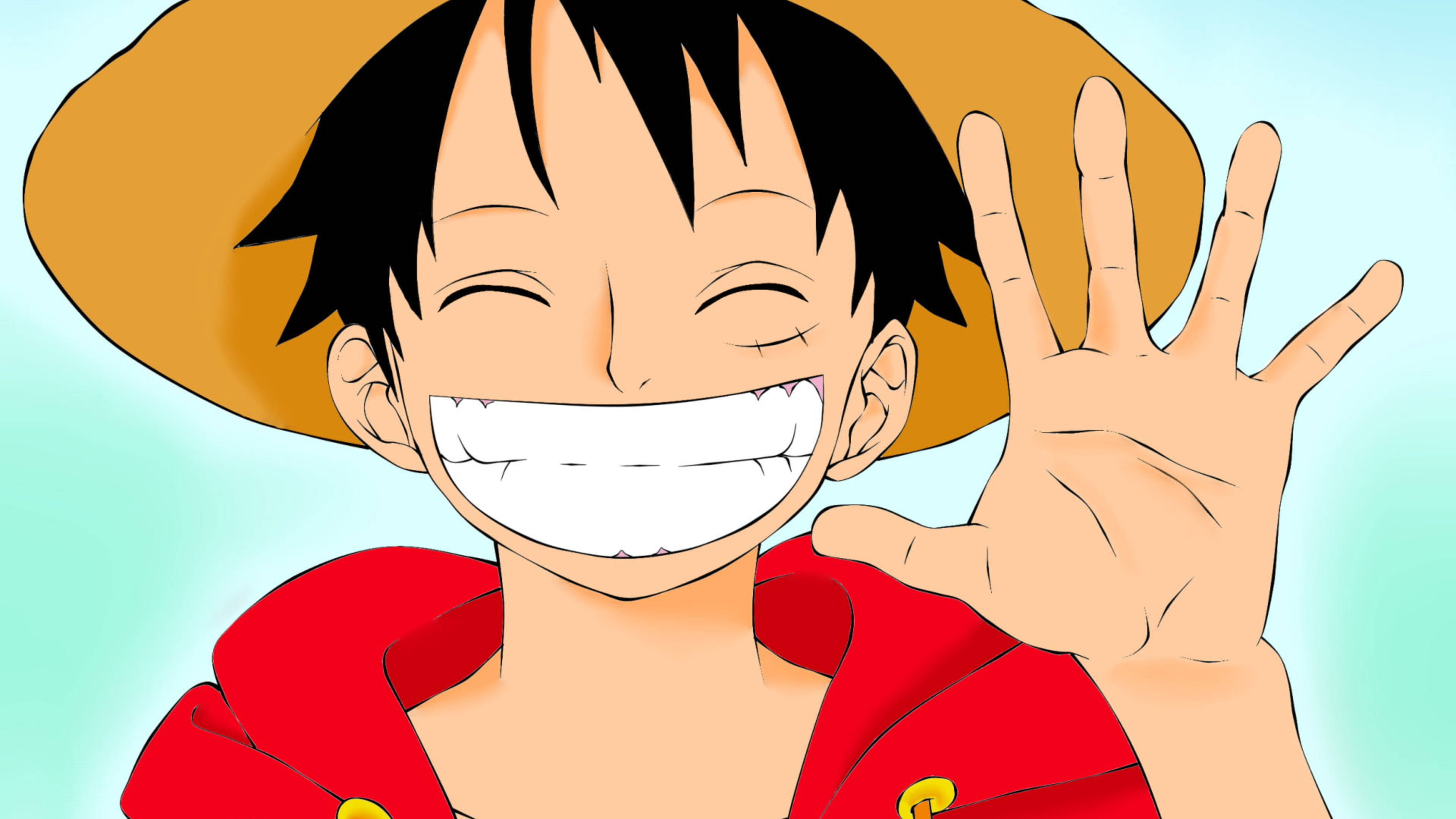 Monkey D Luffy, straw hat, black hair, 4K Desktop Wallpaper
