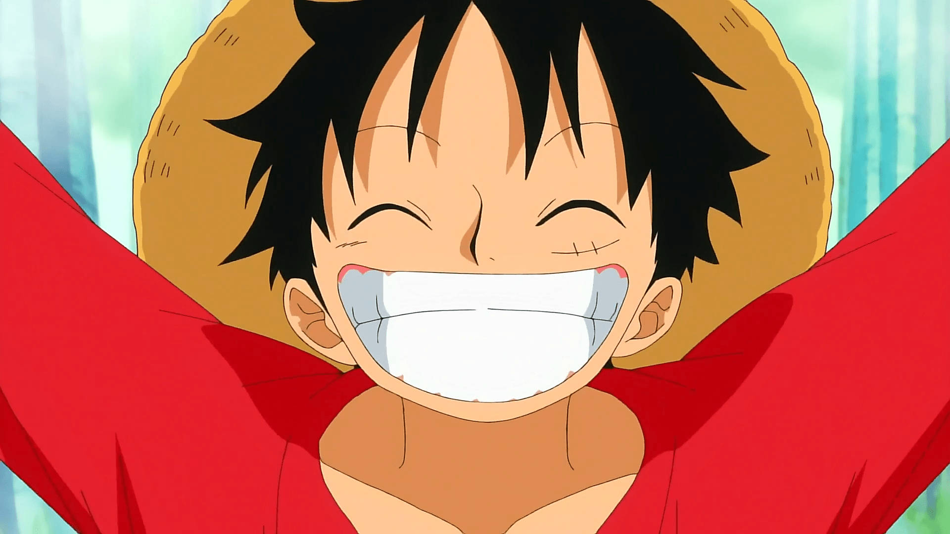 Monkey D Luffy, straw hat, red shirt, Full HD Desktop Wallpaper