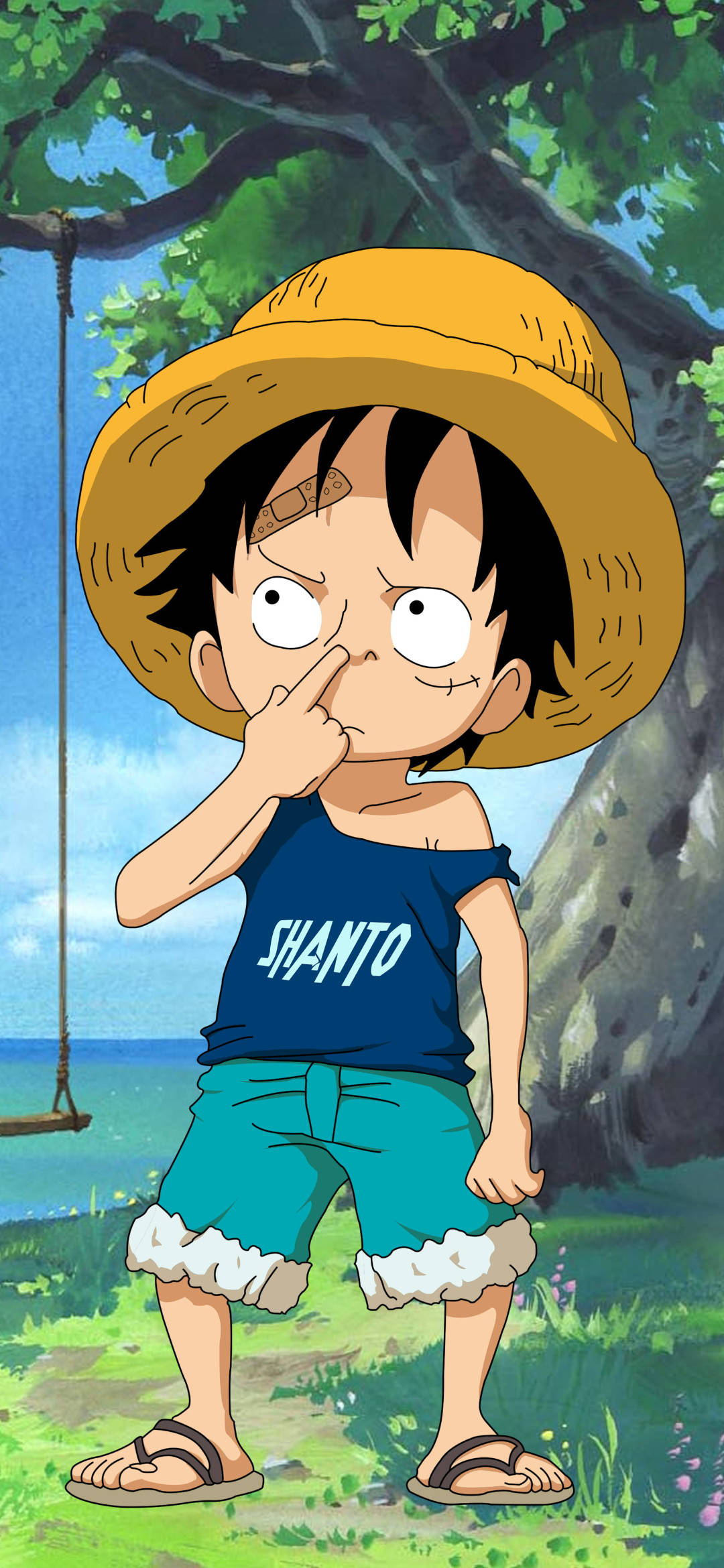 Monkey D Luffy, straw hat, blue shirt, Full HD Phone Wallpaper